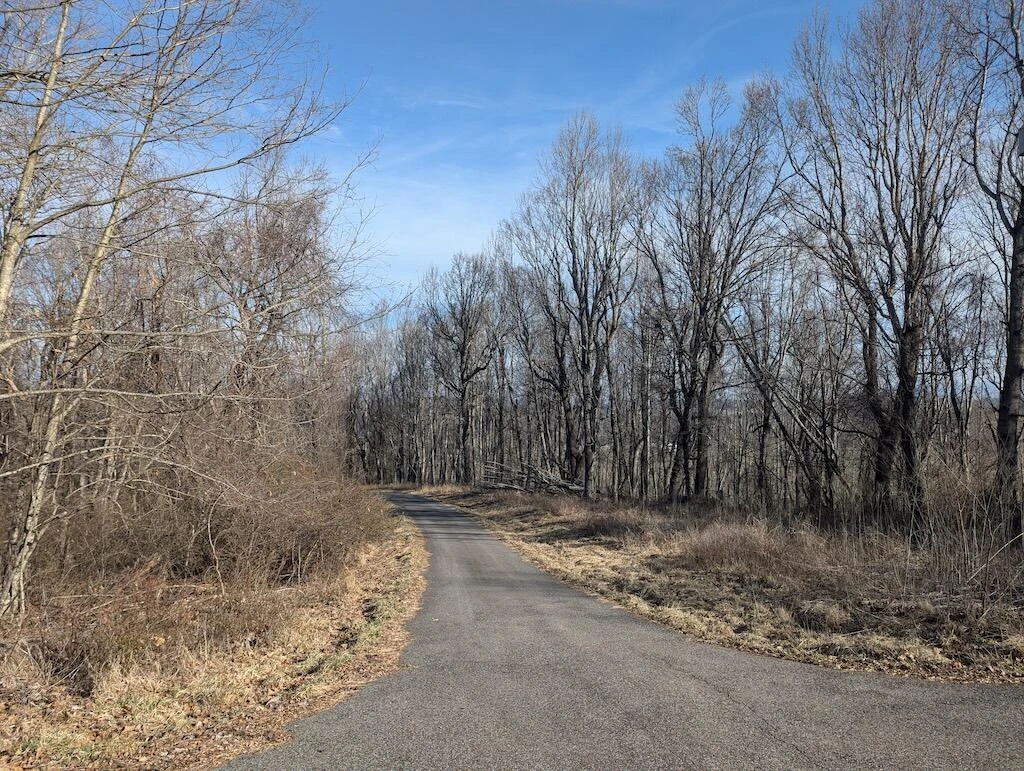 TBD Coles Knob RD NE - Photo 21