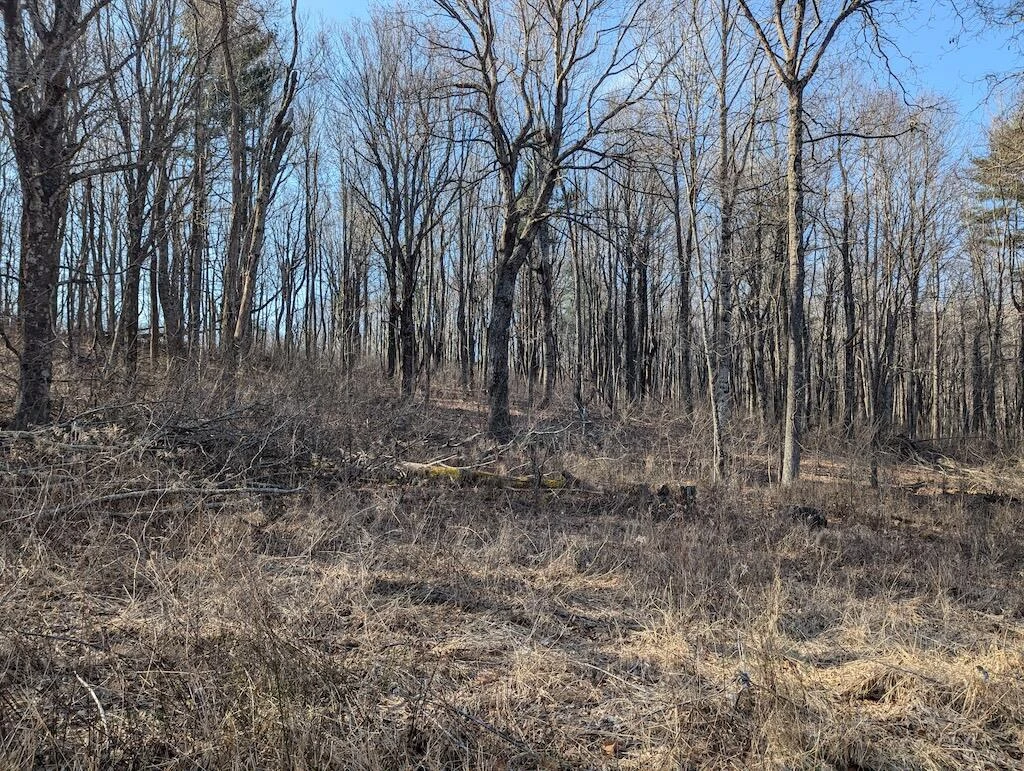 TBD Coles Knob RD NE - Photo 22