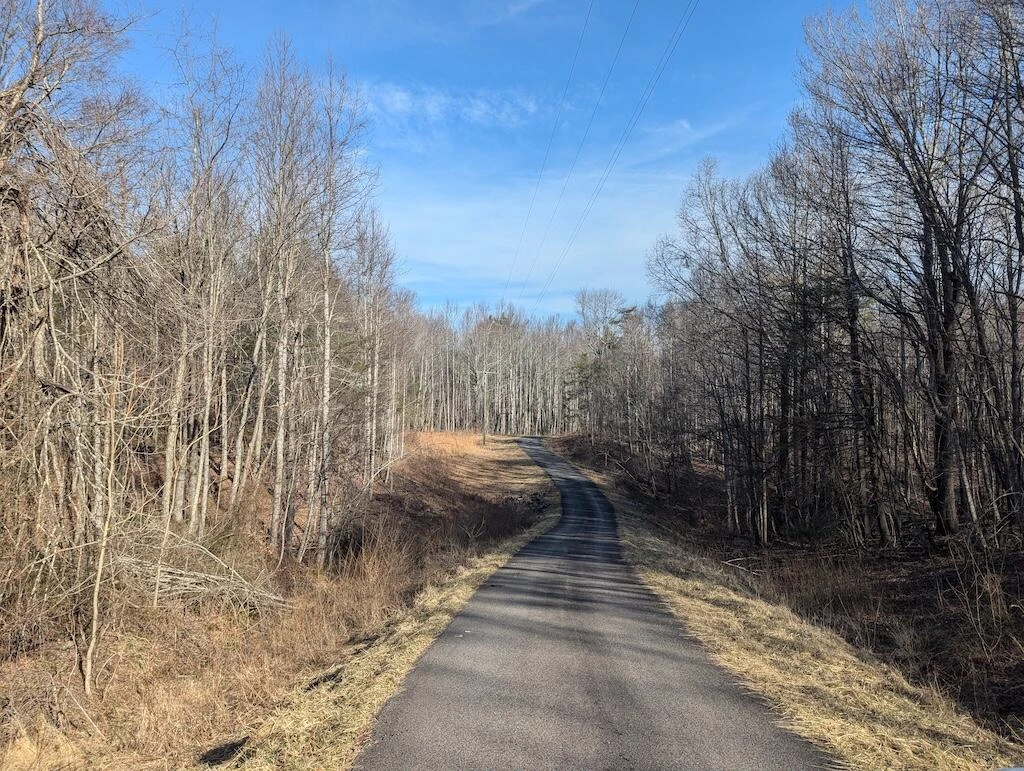 TBD Coles Knob RD NE - Photo 23