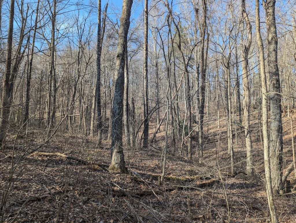 TBD Coles Knob RD NE - Photo 24