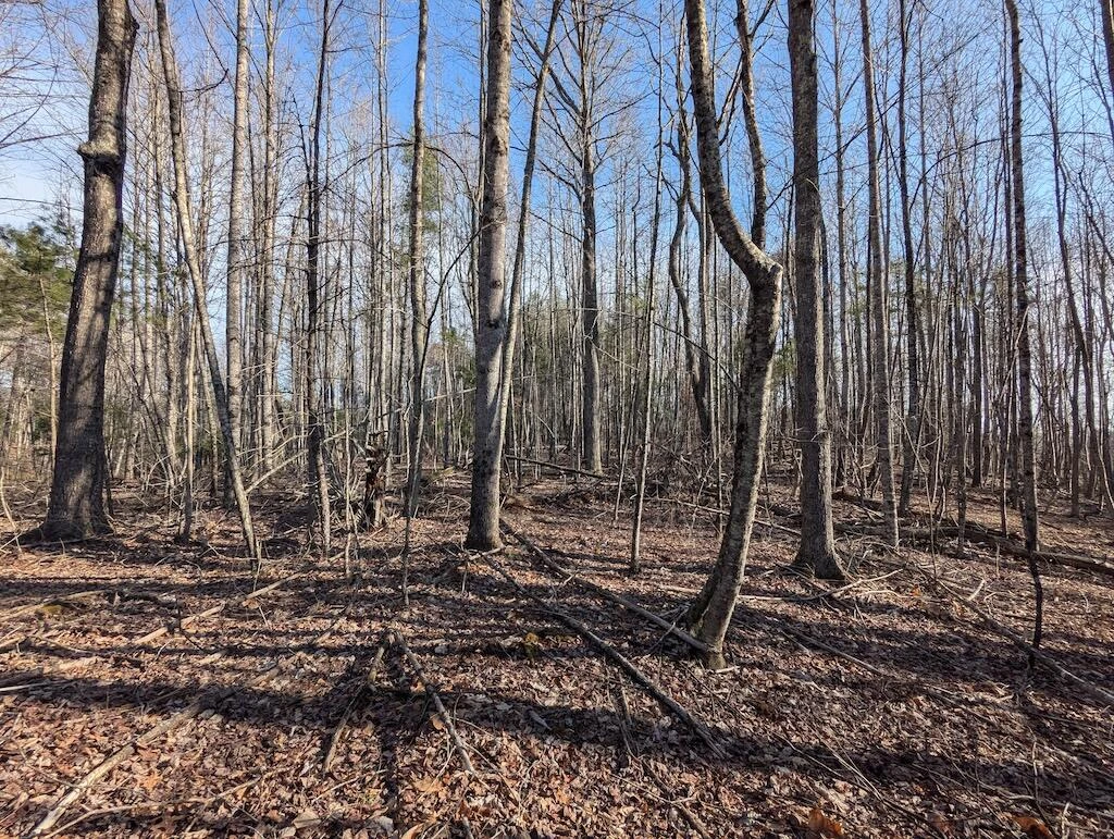 TBD Coles Knob RD NE - Photo 5