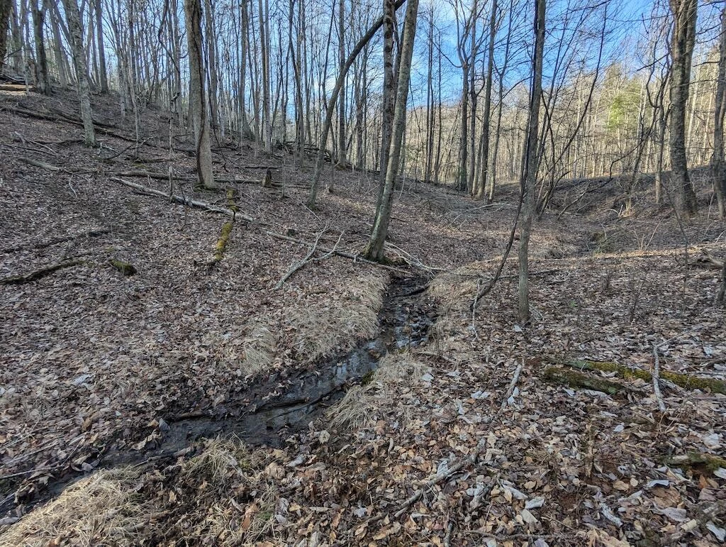 TBD Coles Knob RD NE - Photo 6