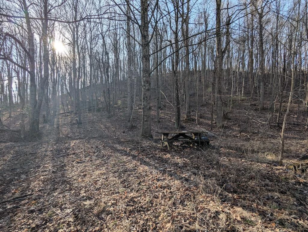 TBD Coles Knob RD NE - Photo 7