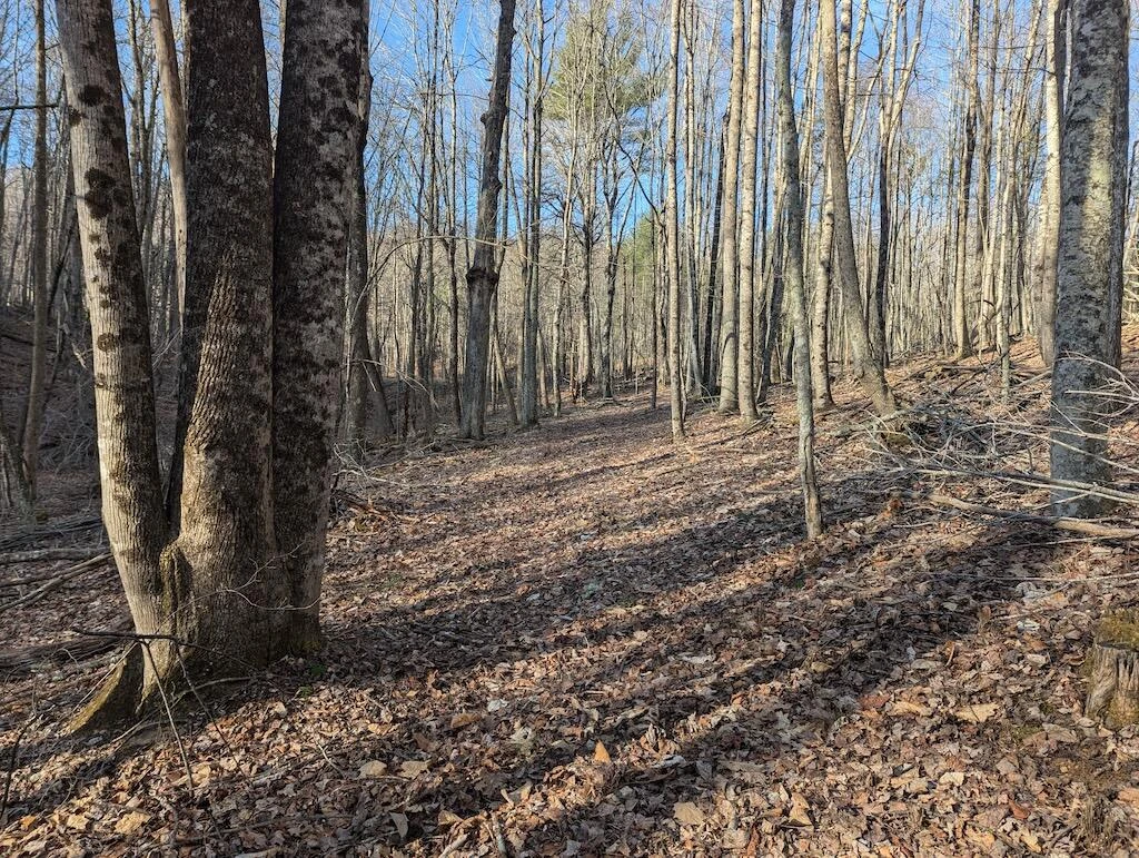 TBD Coles Knob RD NE - Photo 8