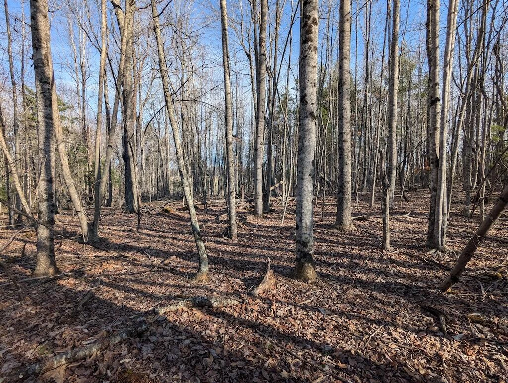 TBD Coles Knob RD NE - Photo 9