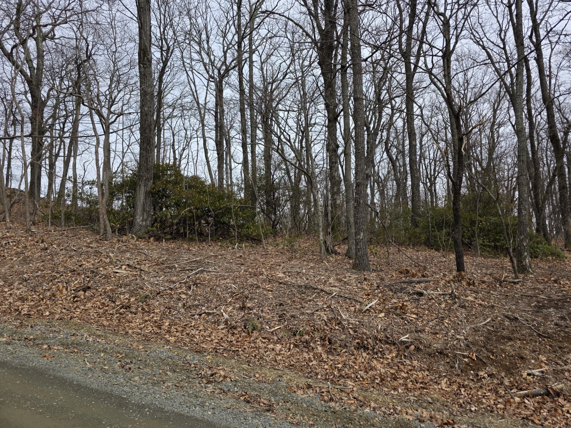 Lot 8 Edgeview DR