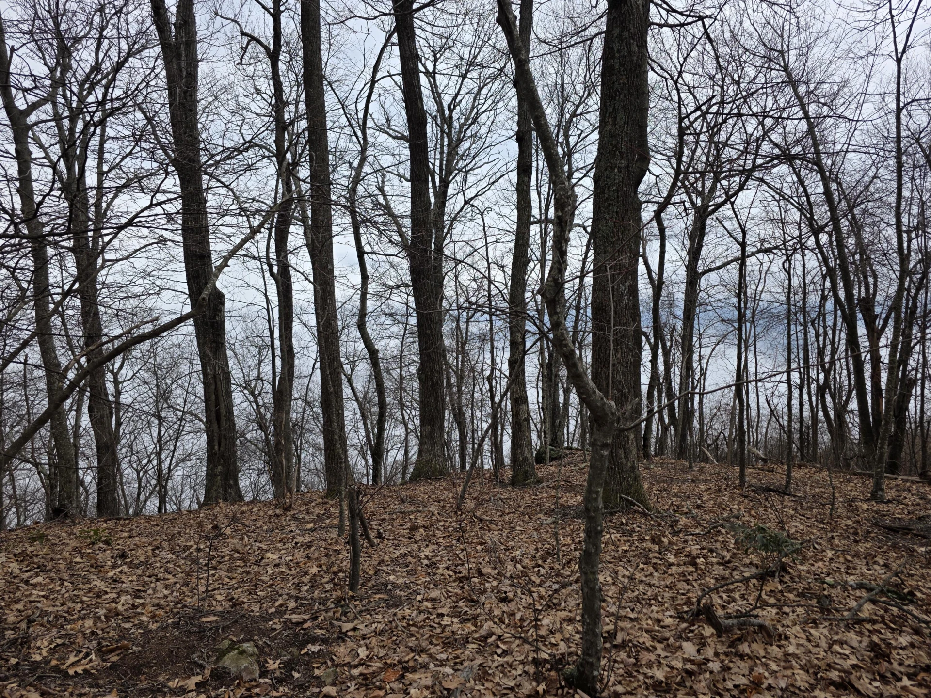 Lot 8 Edgeview DR - Photo 10
