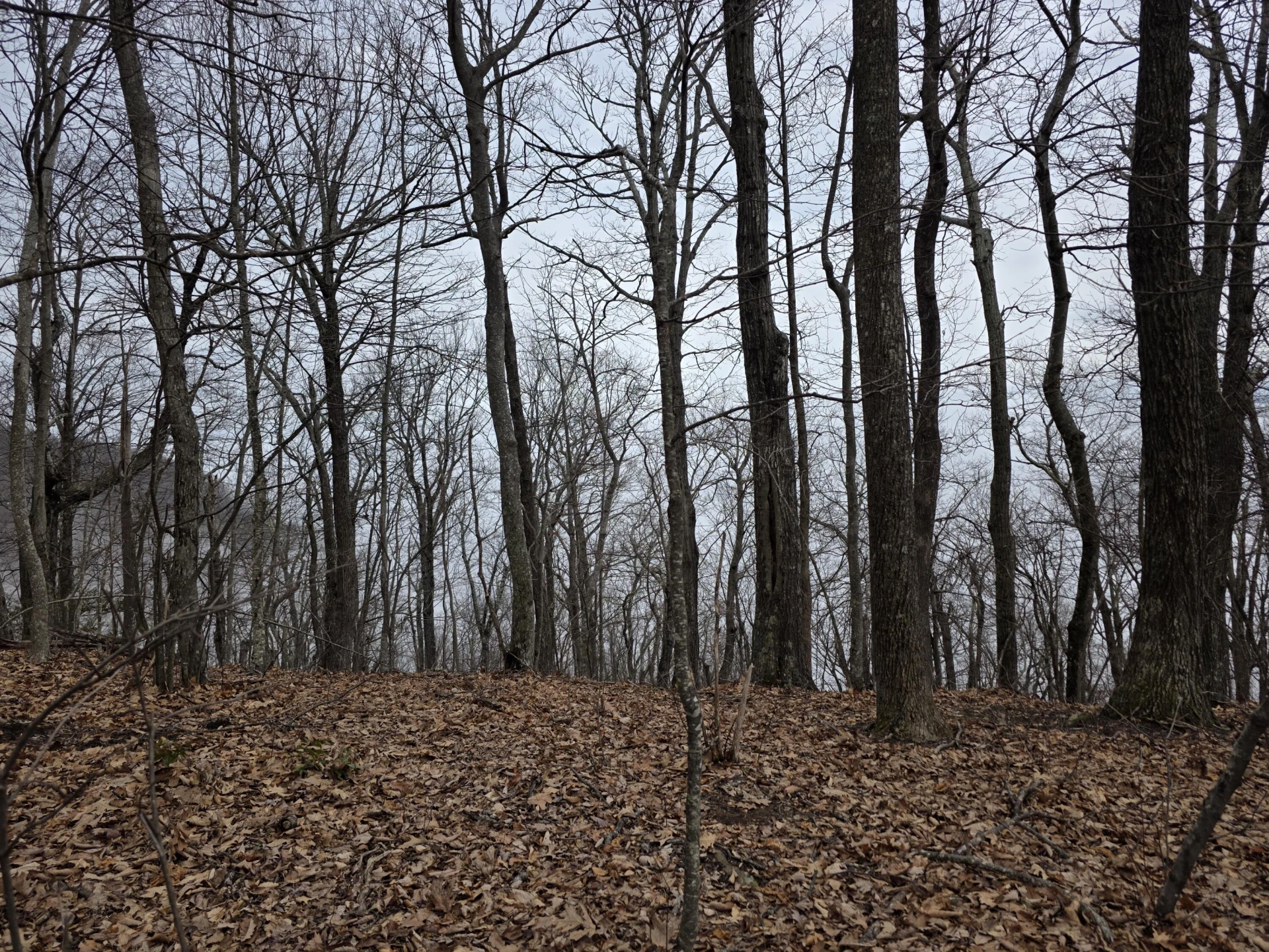 Lot 8 Edgeview DR - Photo 11
