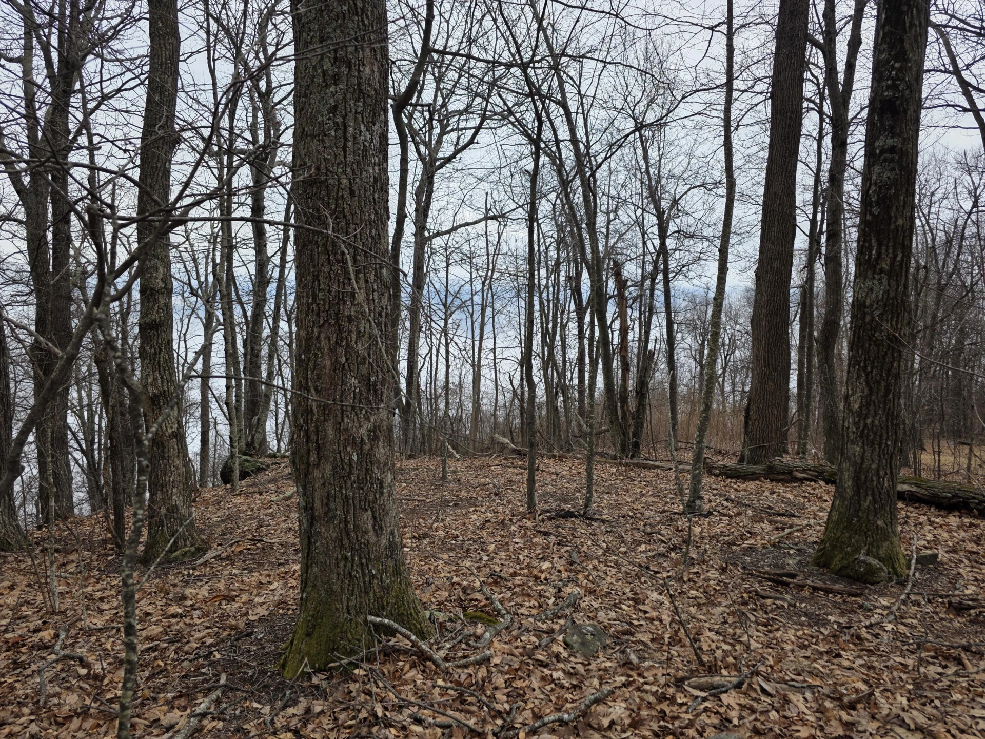 Lot 8 Edgeview DR - Photo 12