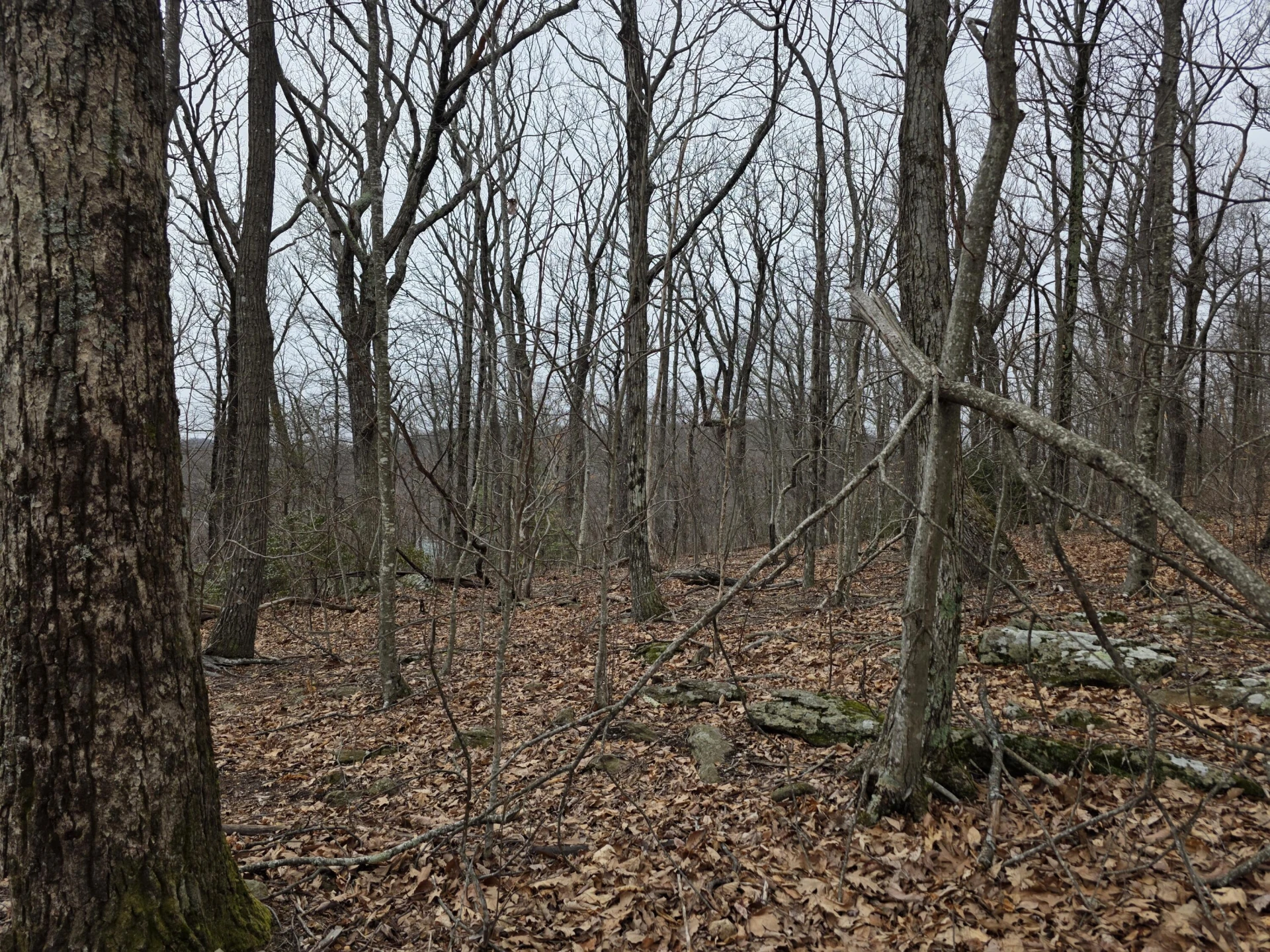 Lot 8 Edgeview DR - Photo 13