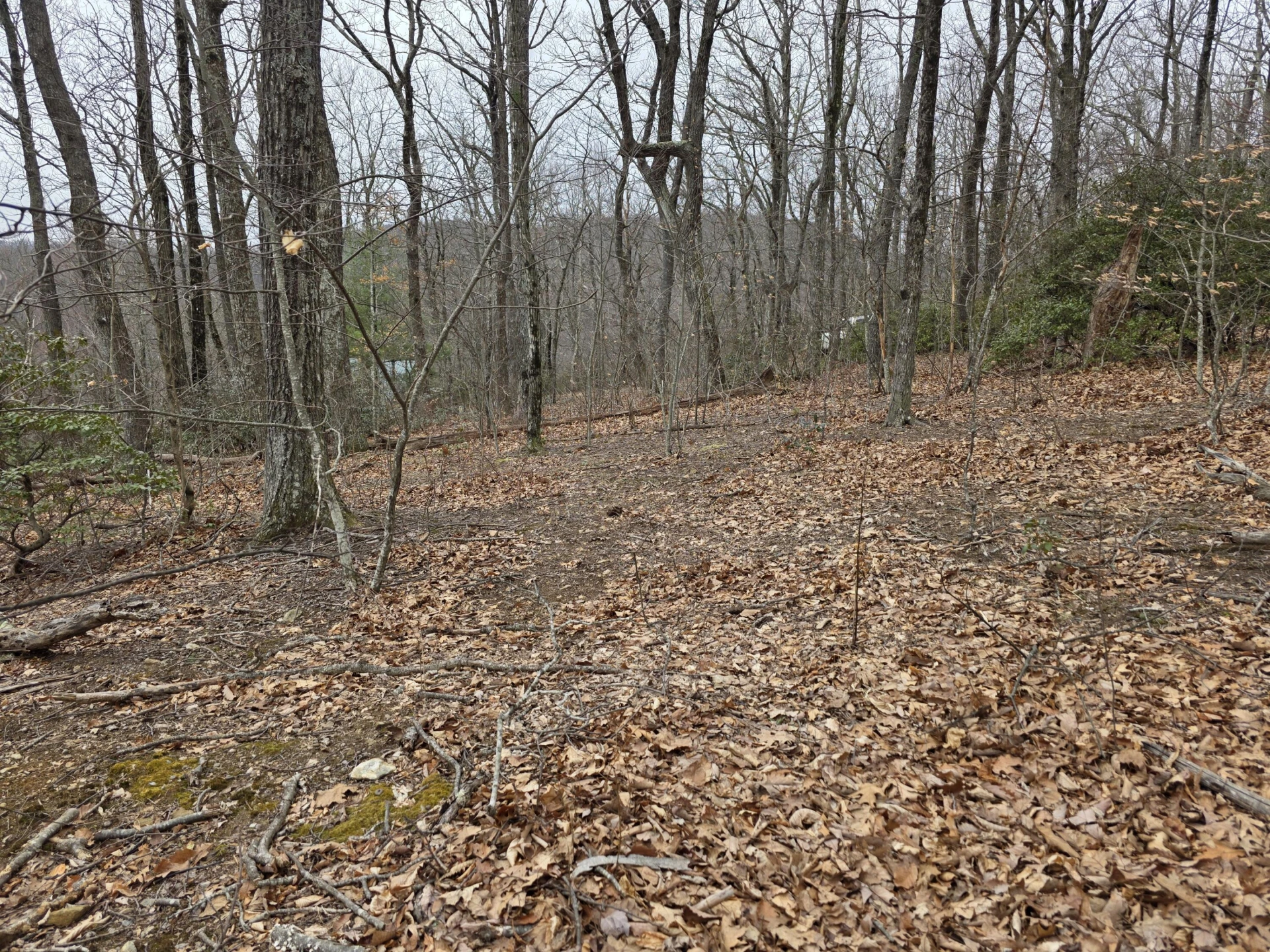 Lot 8 Edgeview DR - Photo 14
