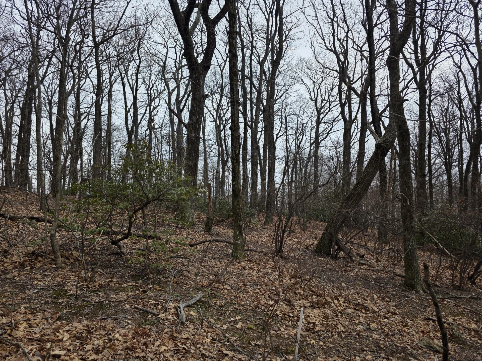 Lot 8 Edgeview DR - Photo 15