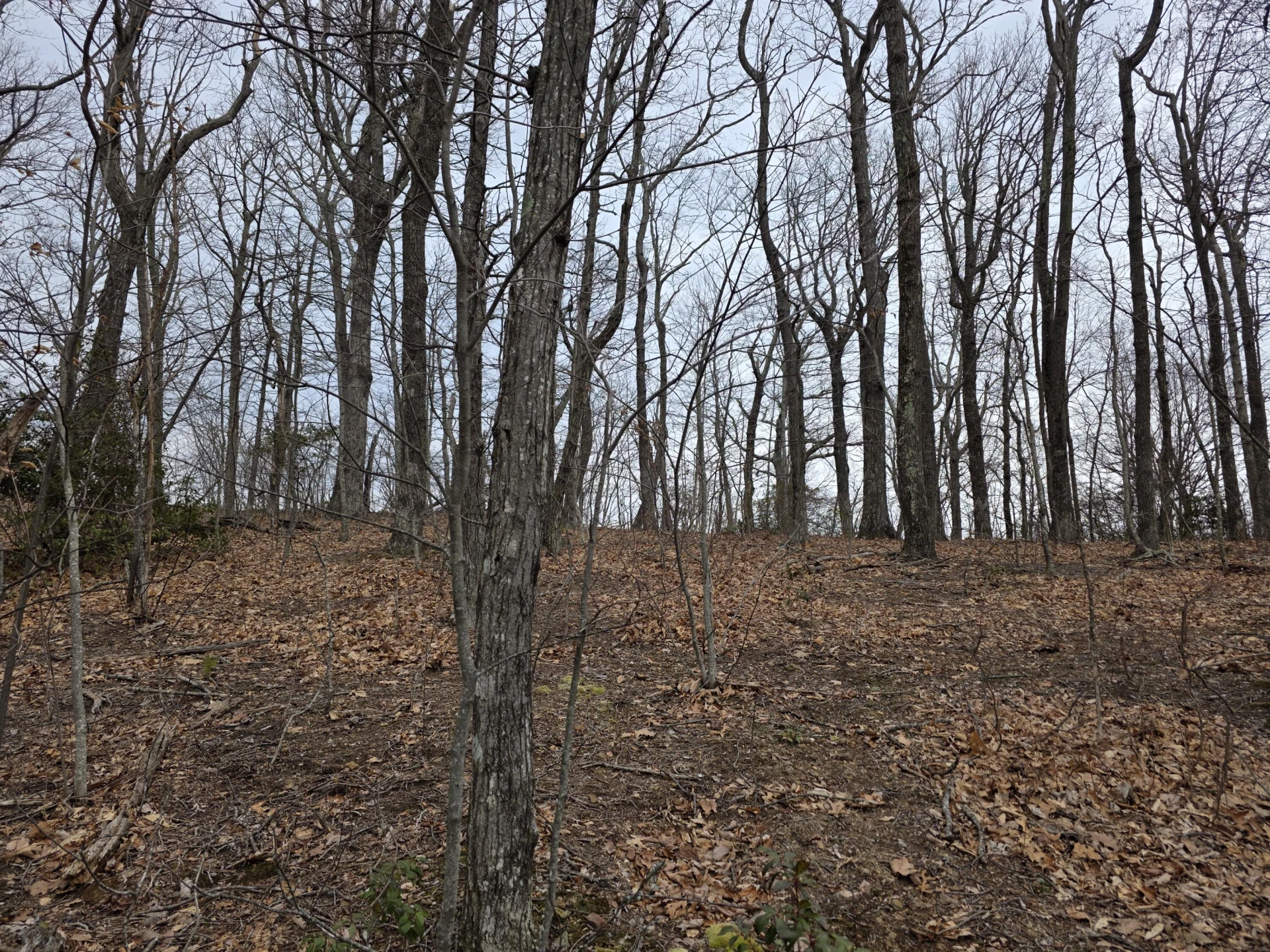 Lot 8 Edgeview DR - Photo 16