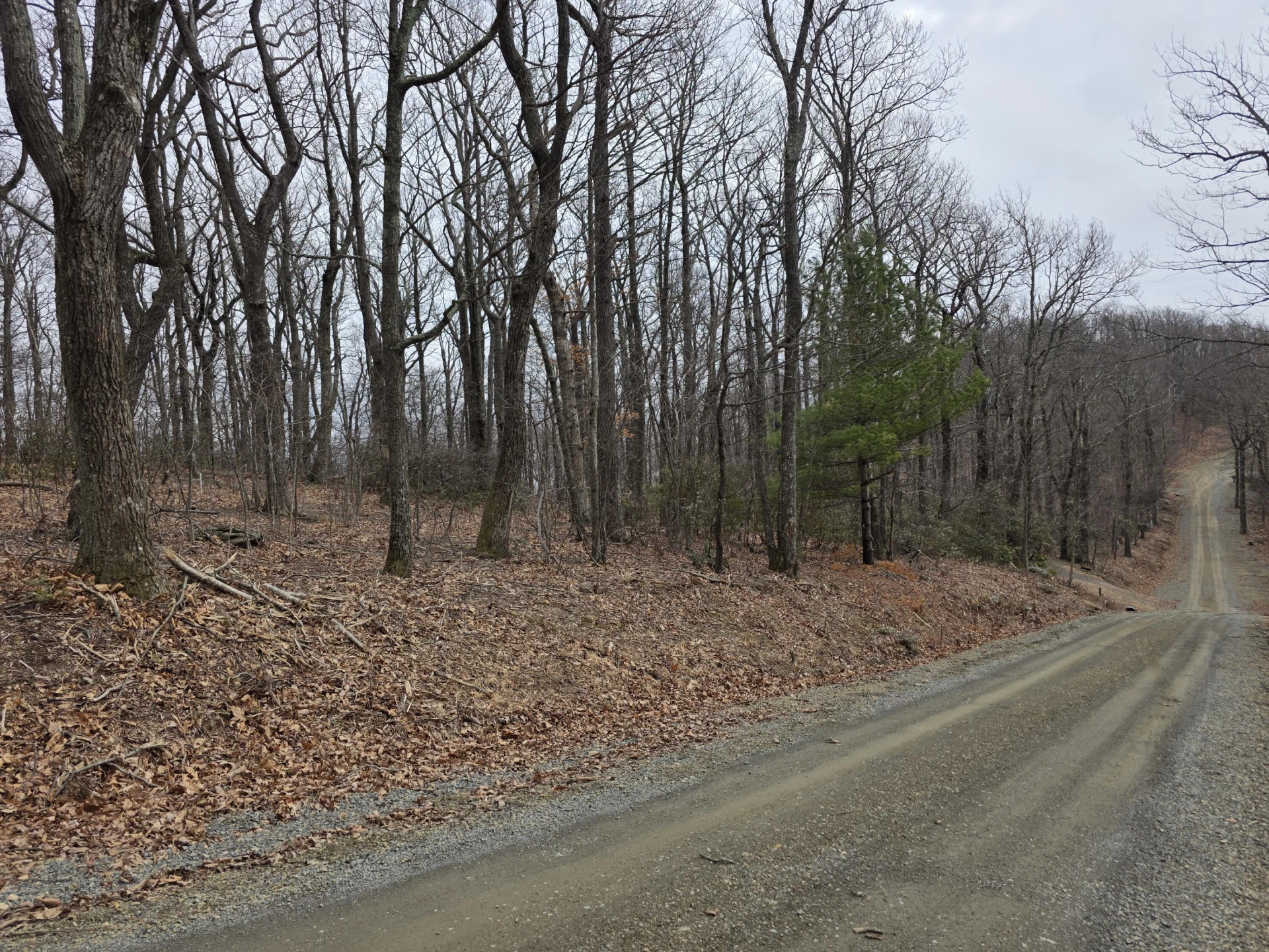 Lot 8 Edgeview DR - Photo 2