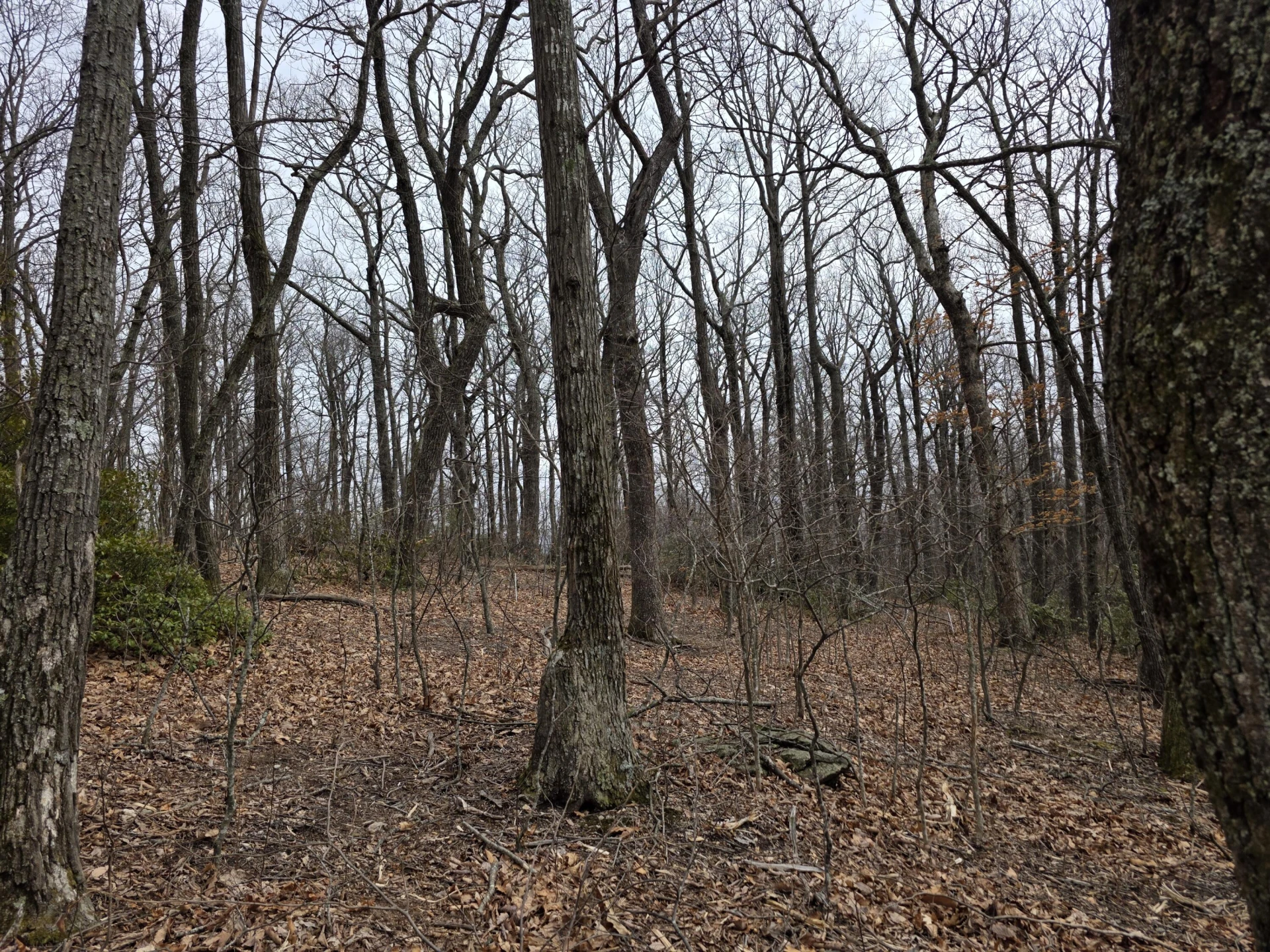 Lot 8 Edgeview DR - Photo 3