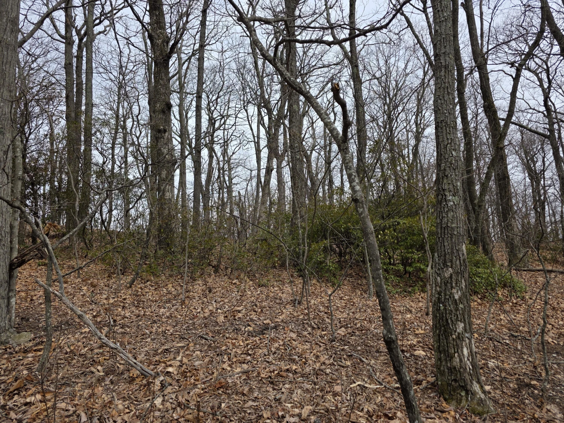 Lot 8 Edgeview DR - Photo 4