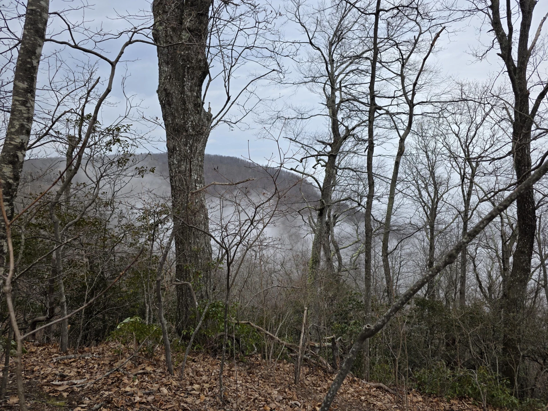 Lot 8 Edgeview DR - Photo 5