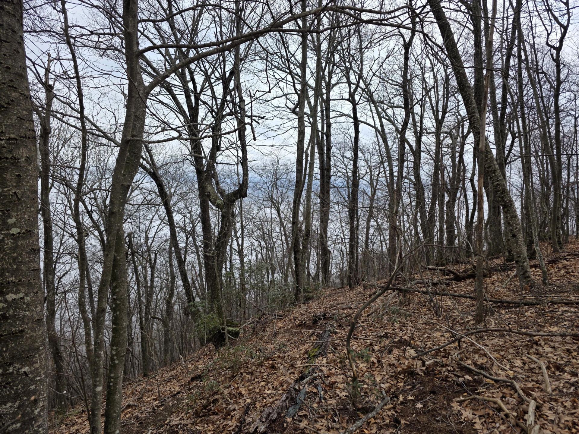 Lot 8 Edgeview DR - Photo 7
