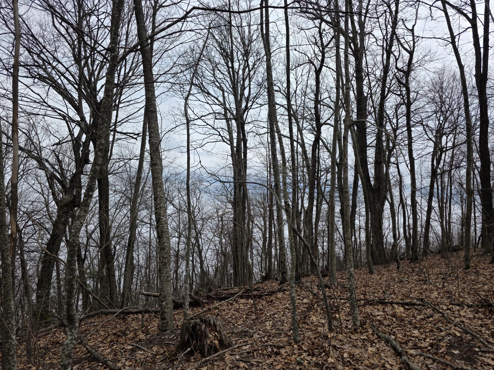 Lot 8 Edgeview DR - Photo 8