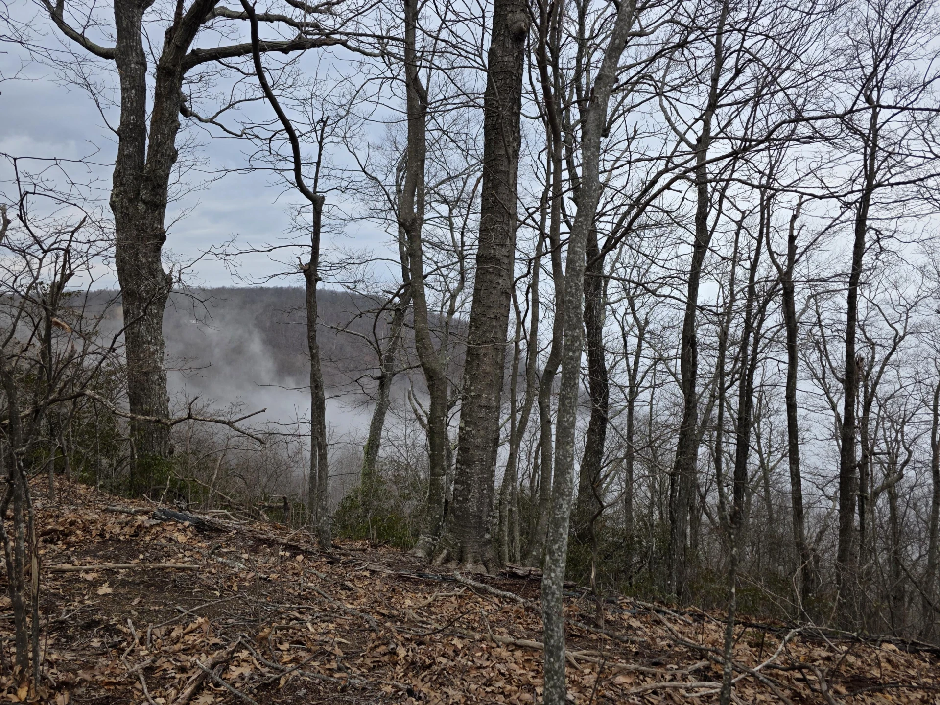 Lot 8 Edgeview DR - Photo 9