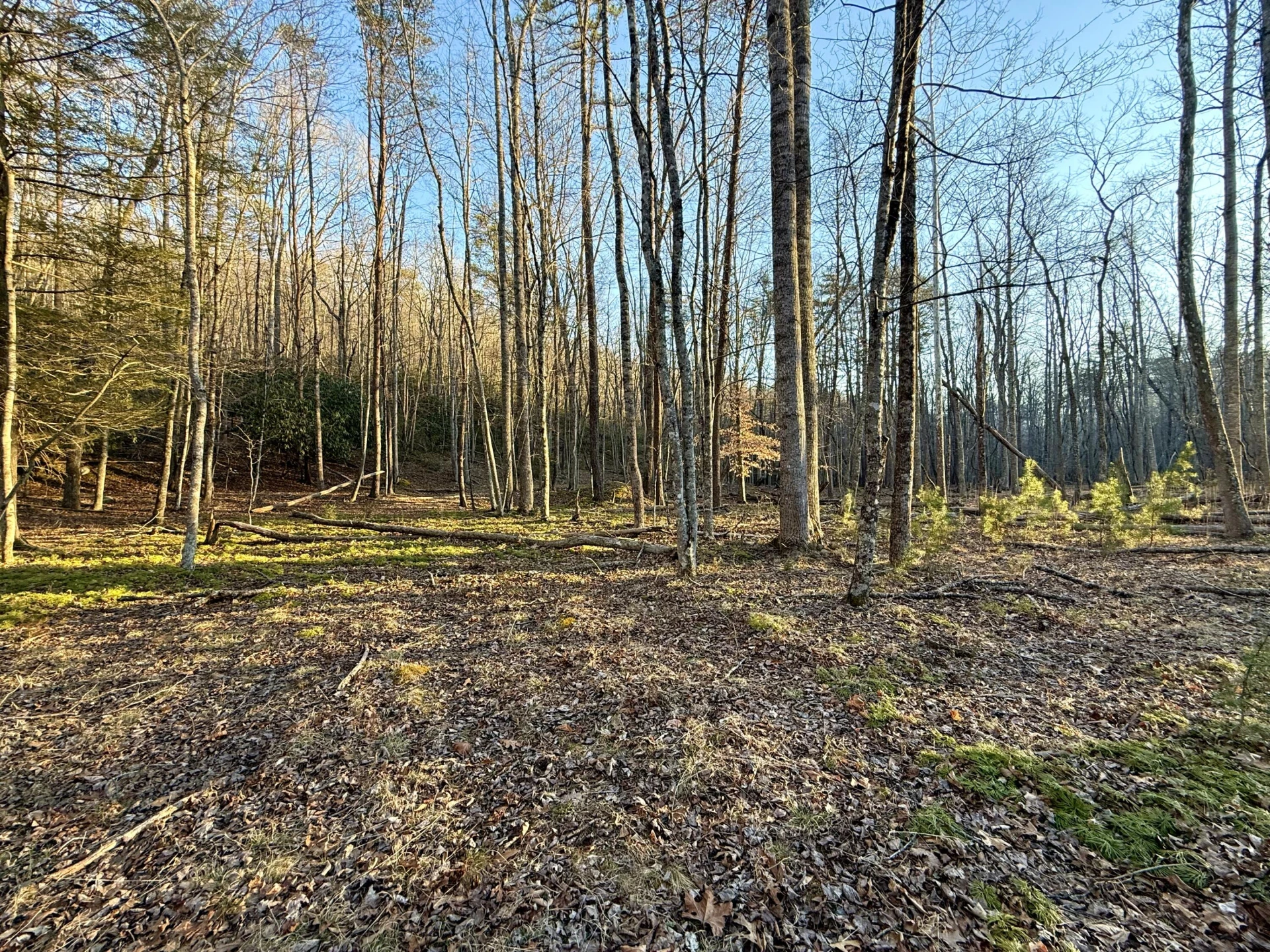 0 Dicks Creek RD