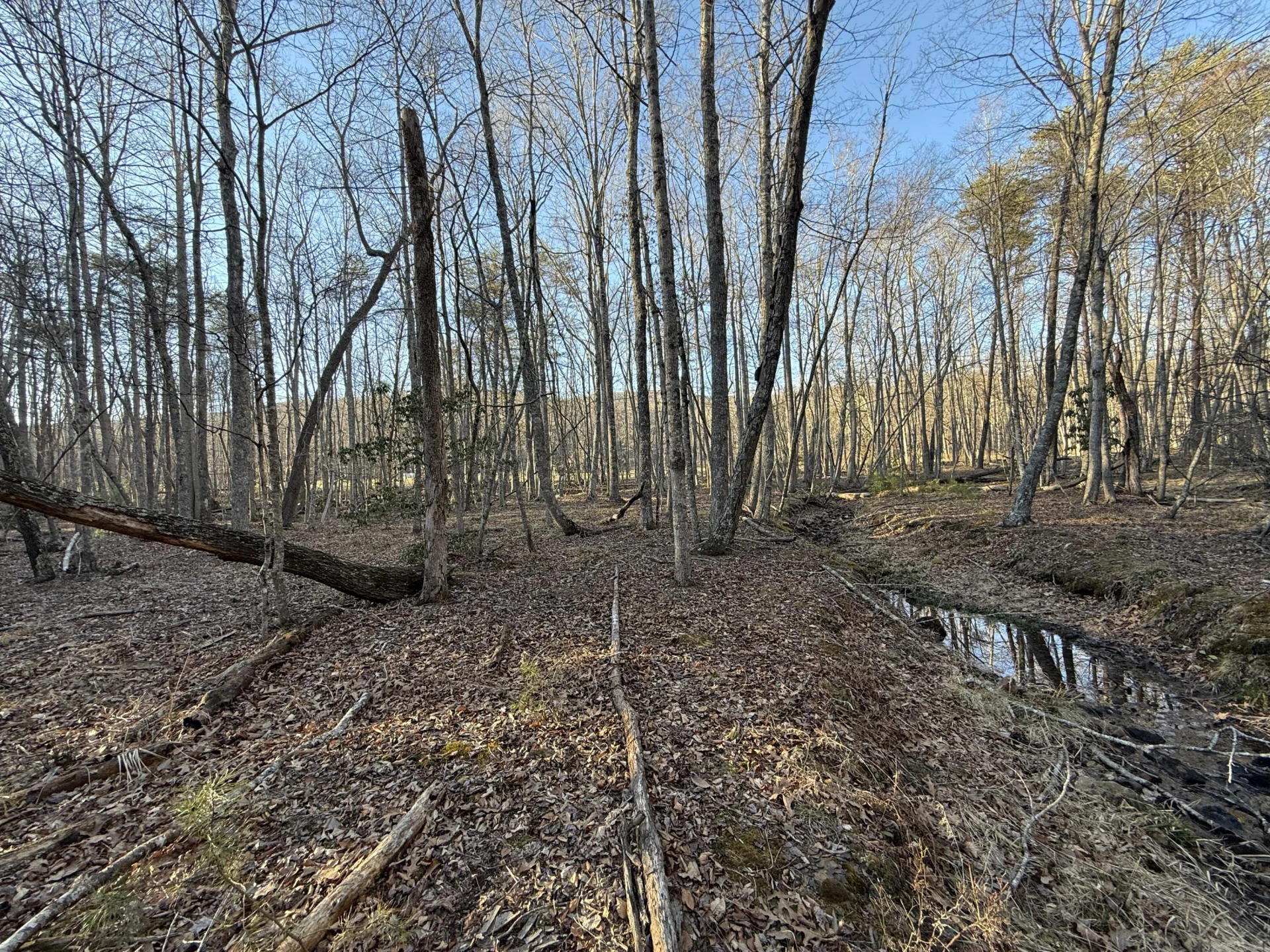 0 Dicks Creek RD - Photo 10