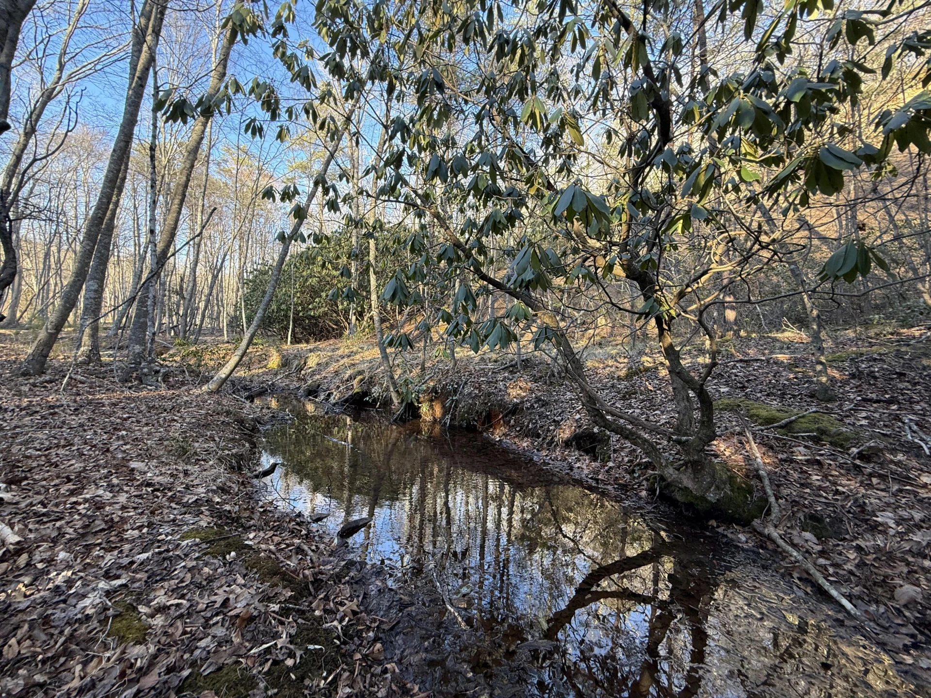 0 Dicks Creek RD - Photo 11