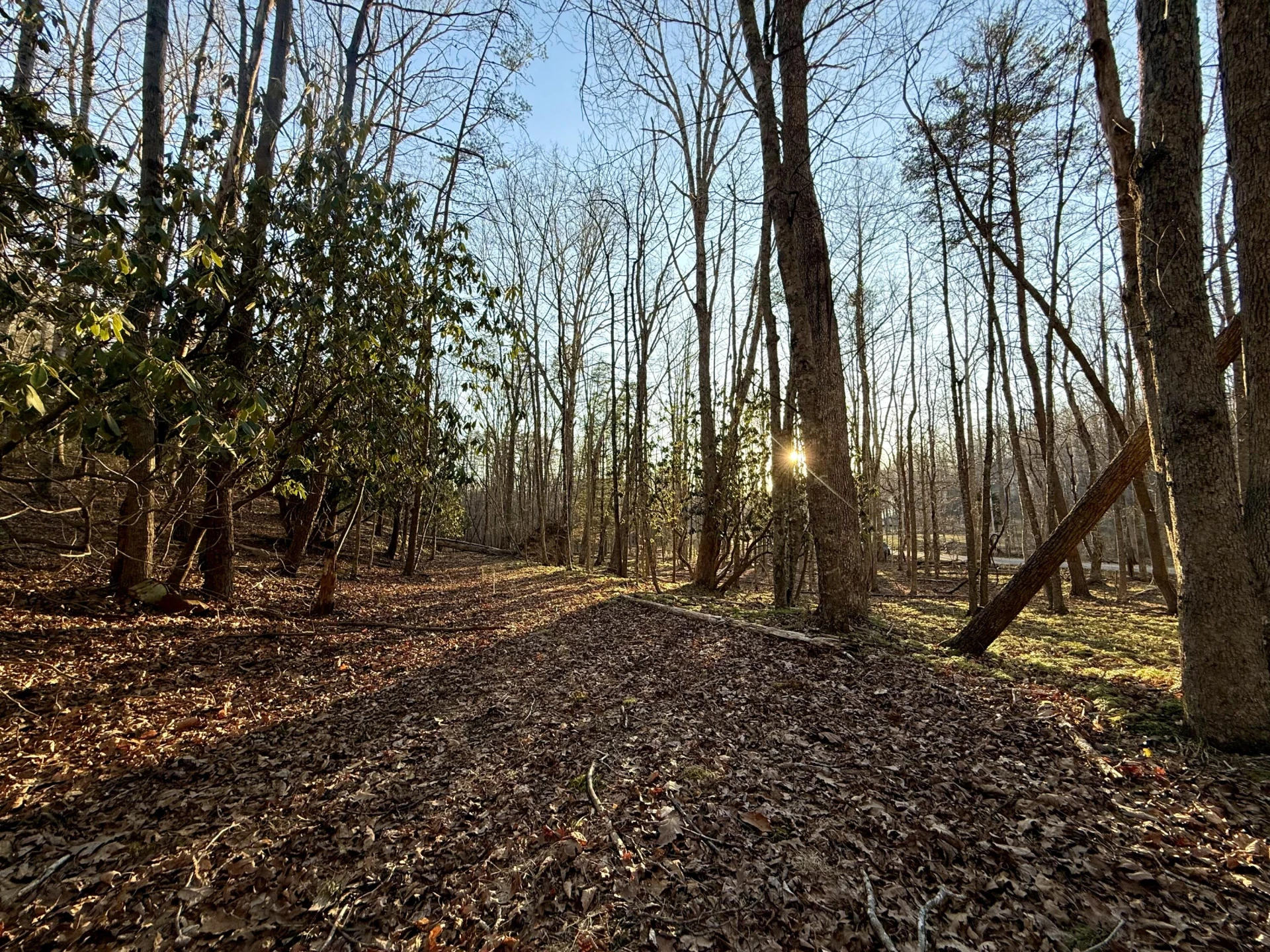 0 Dicks Creek RD - Photo 12