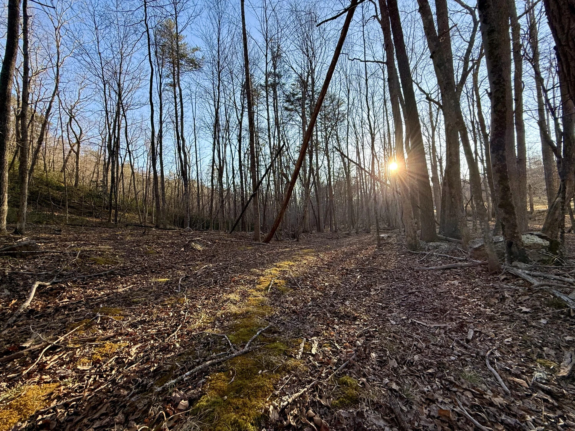 0 Dicks Creek RD - Photo 13