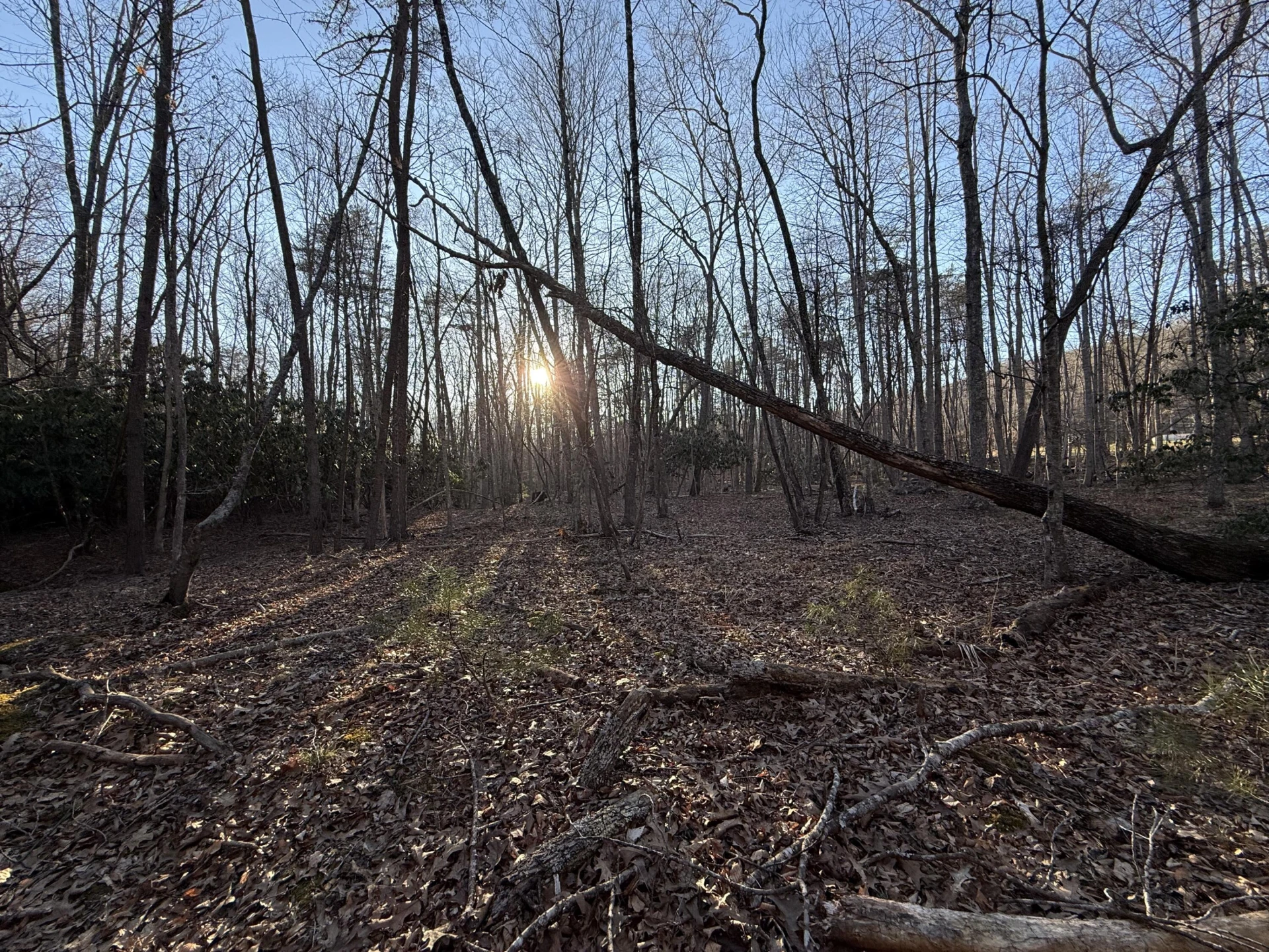 0 Dicks Creek RD - Photo 14