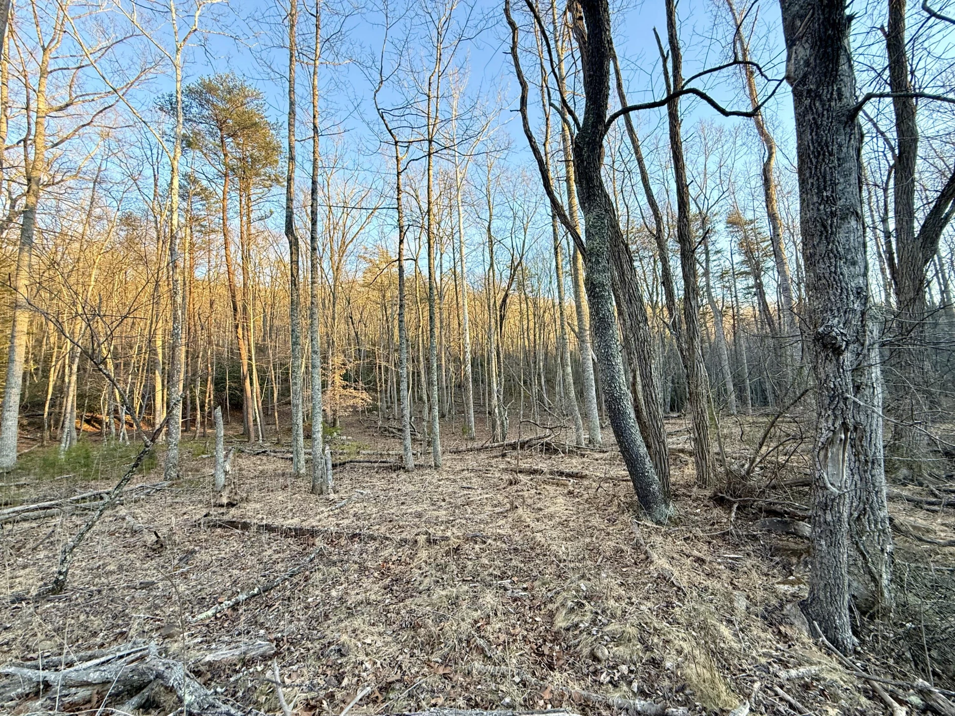 0 Dicks Creek RD - Photo 15