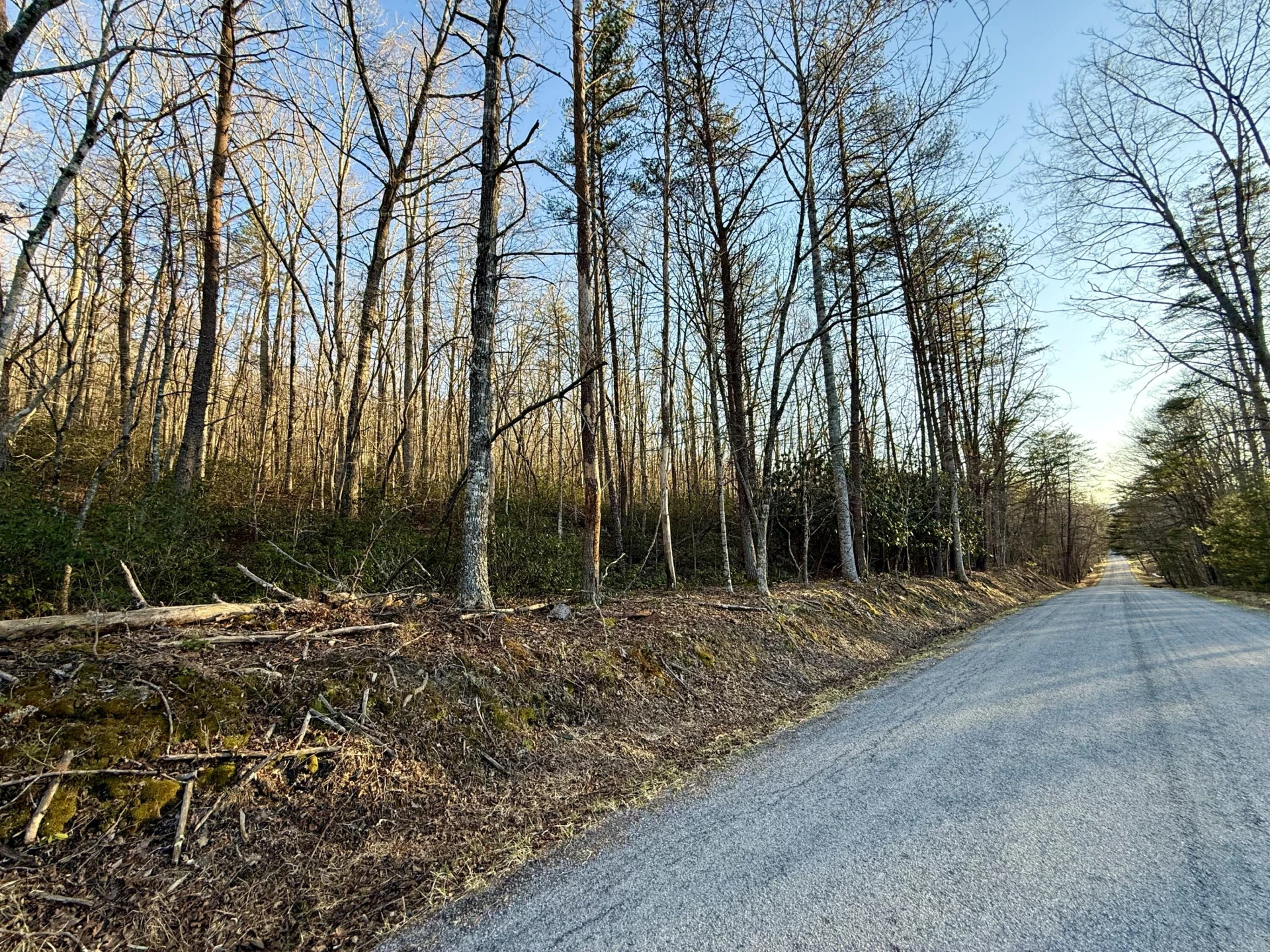 0 Dicks Creek RD - Photo 16