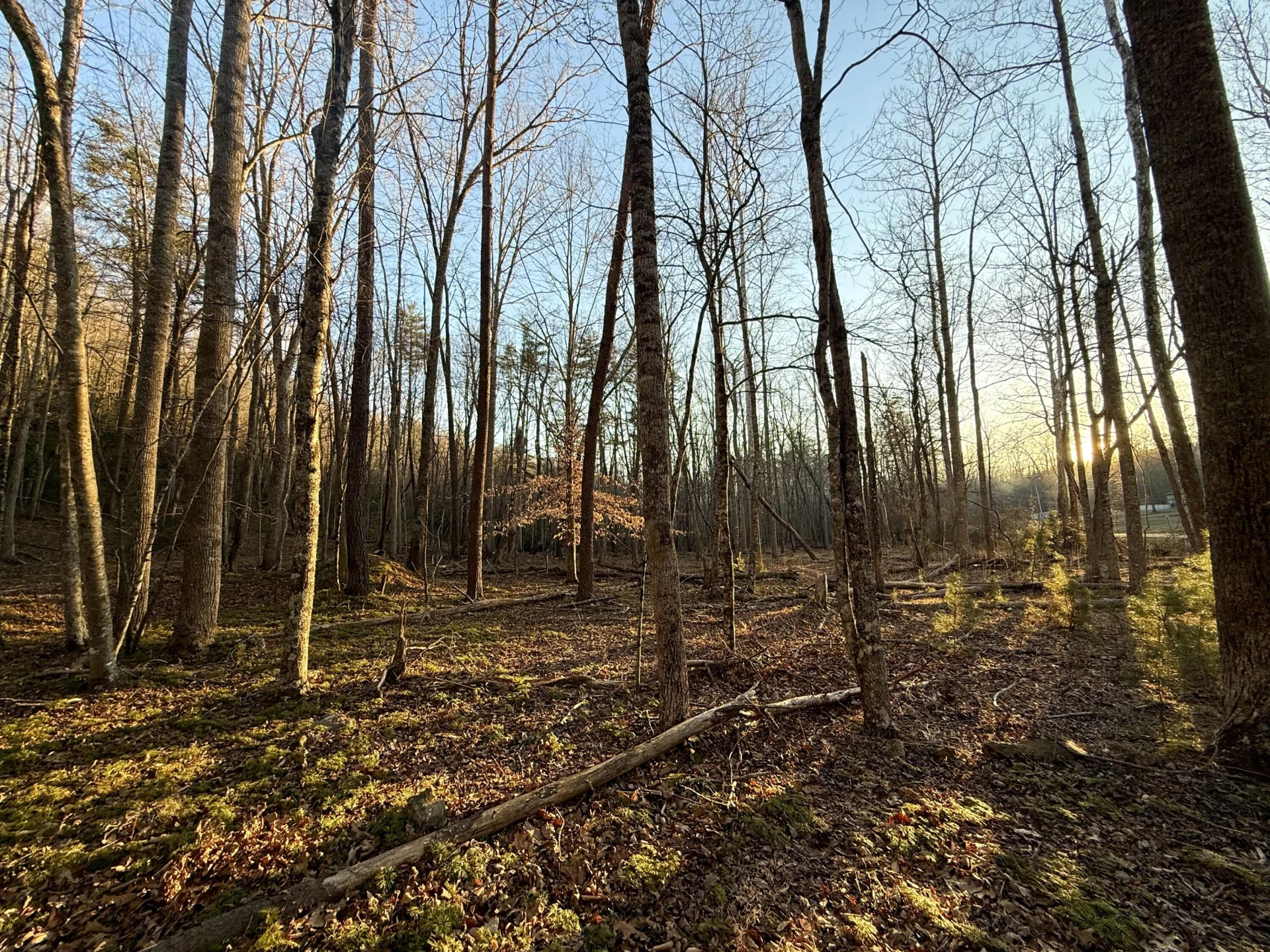 0 Dicks Creek RD - Photo 2