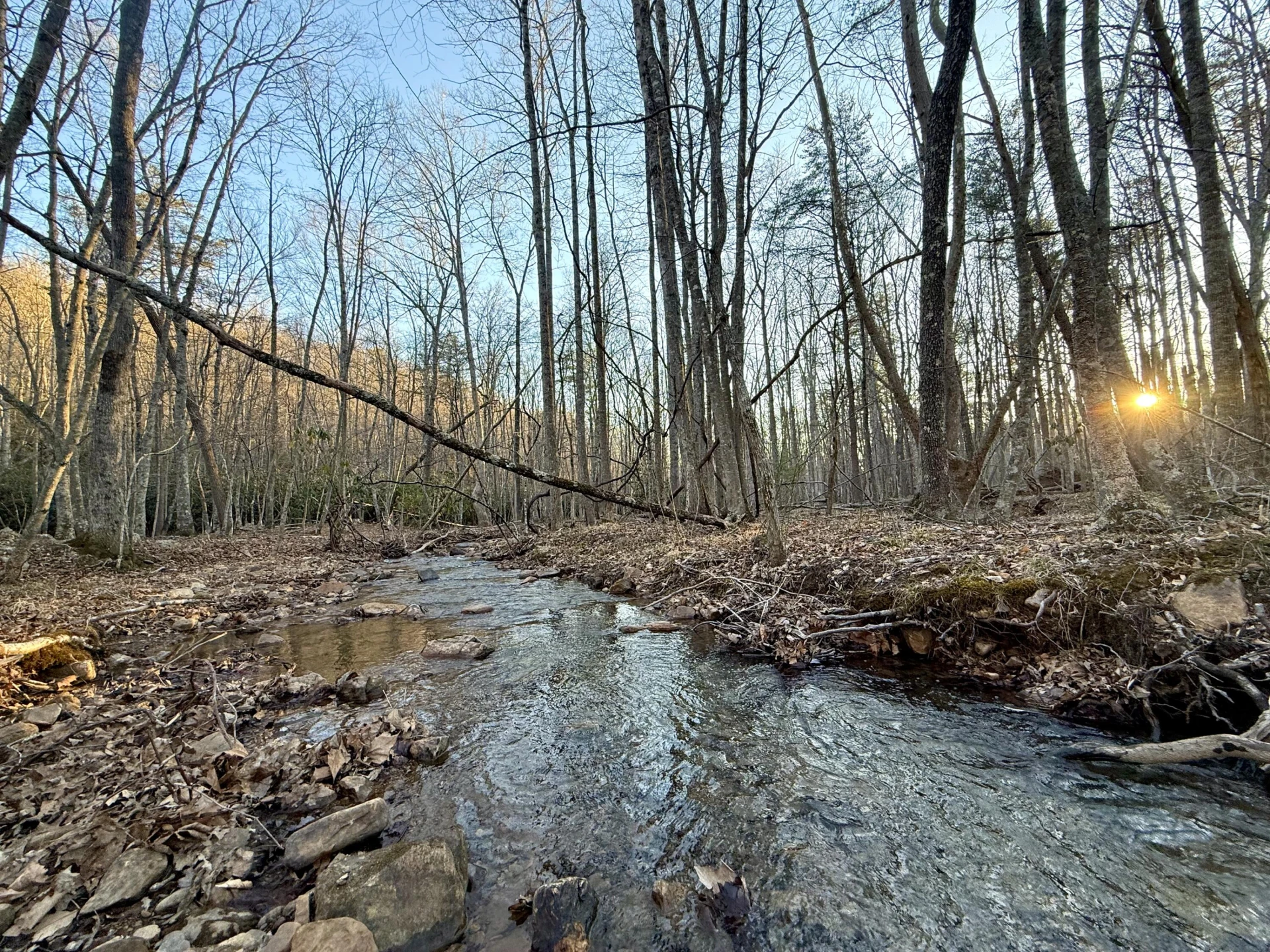 0 Dicks Creek RD - Photo 3