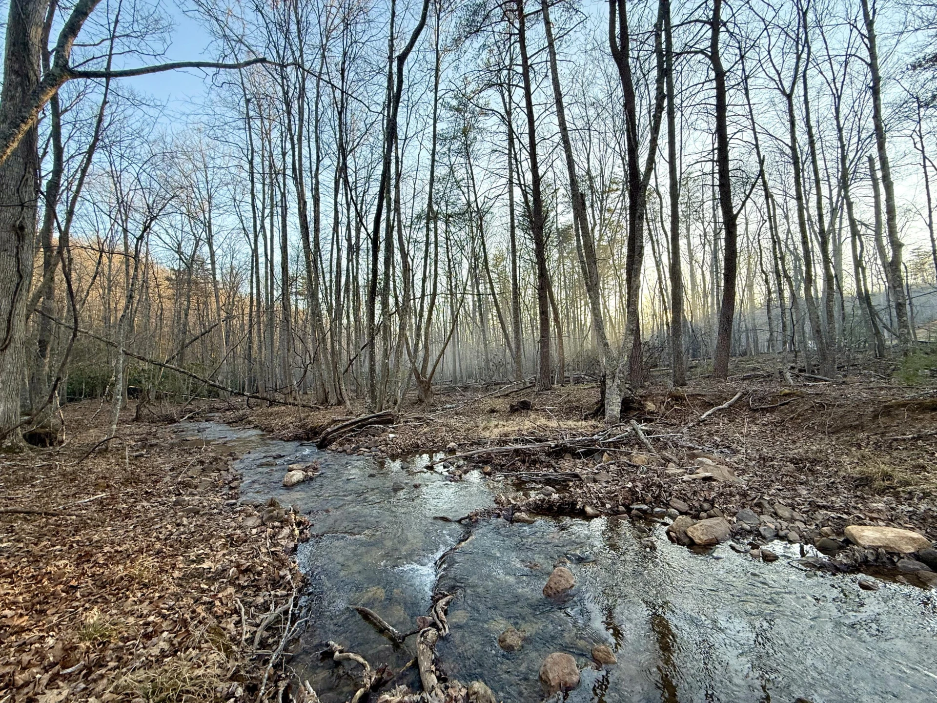 0 Dicks Creek RD - Photo 4
