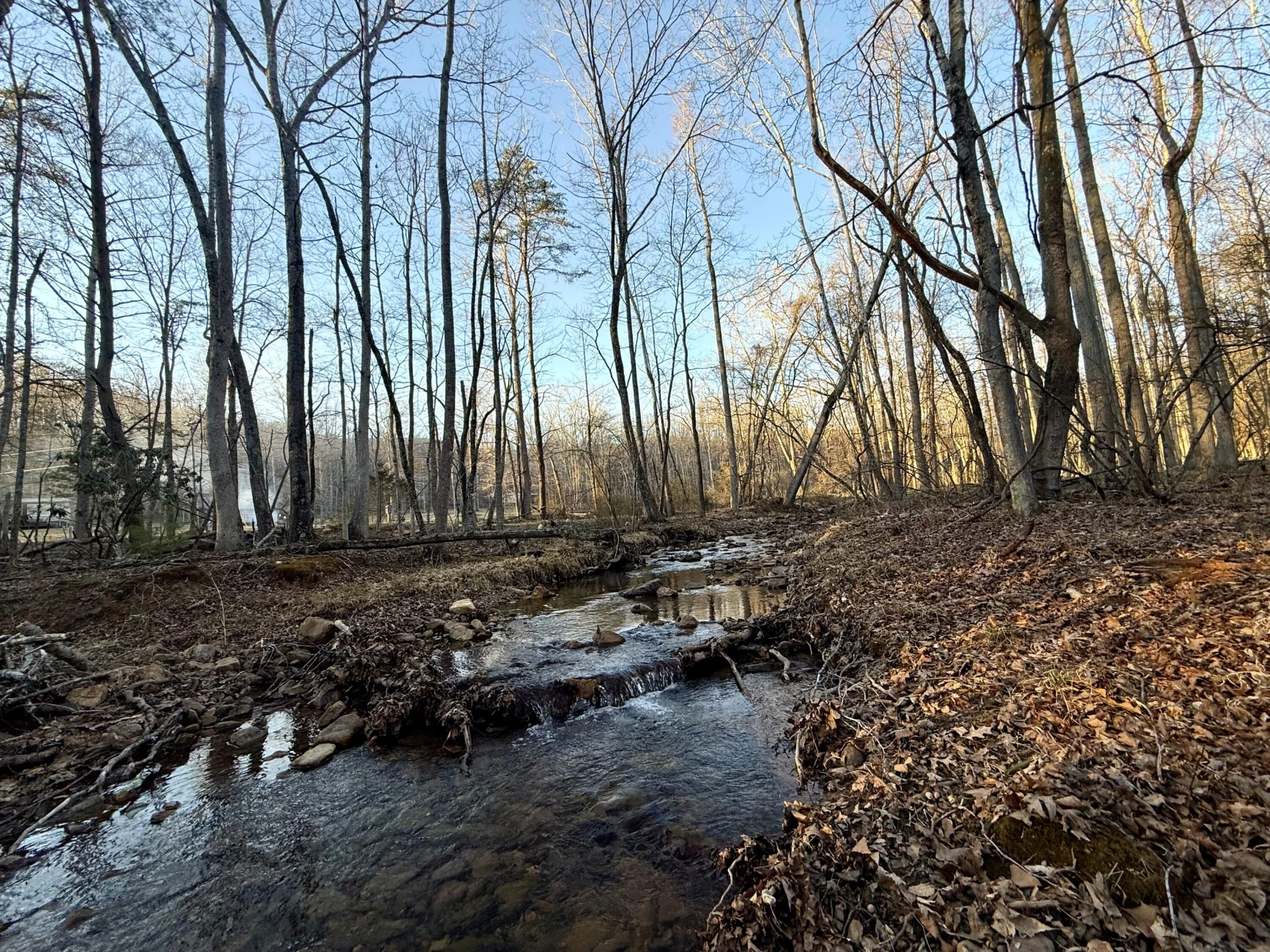 0 Dicks Creek RD - Photo 5