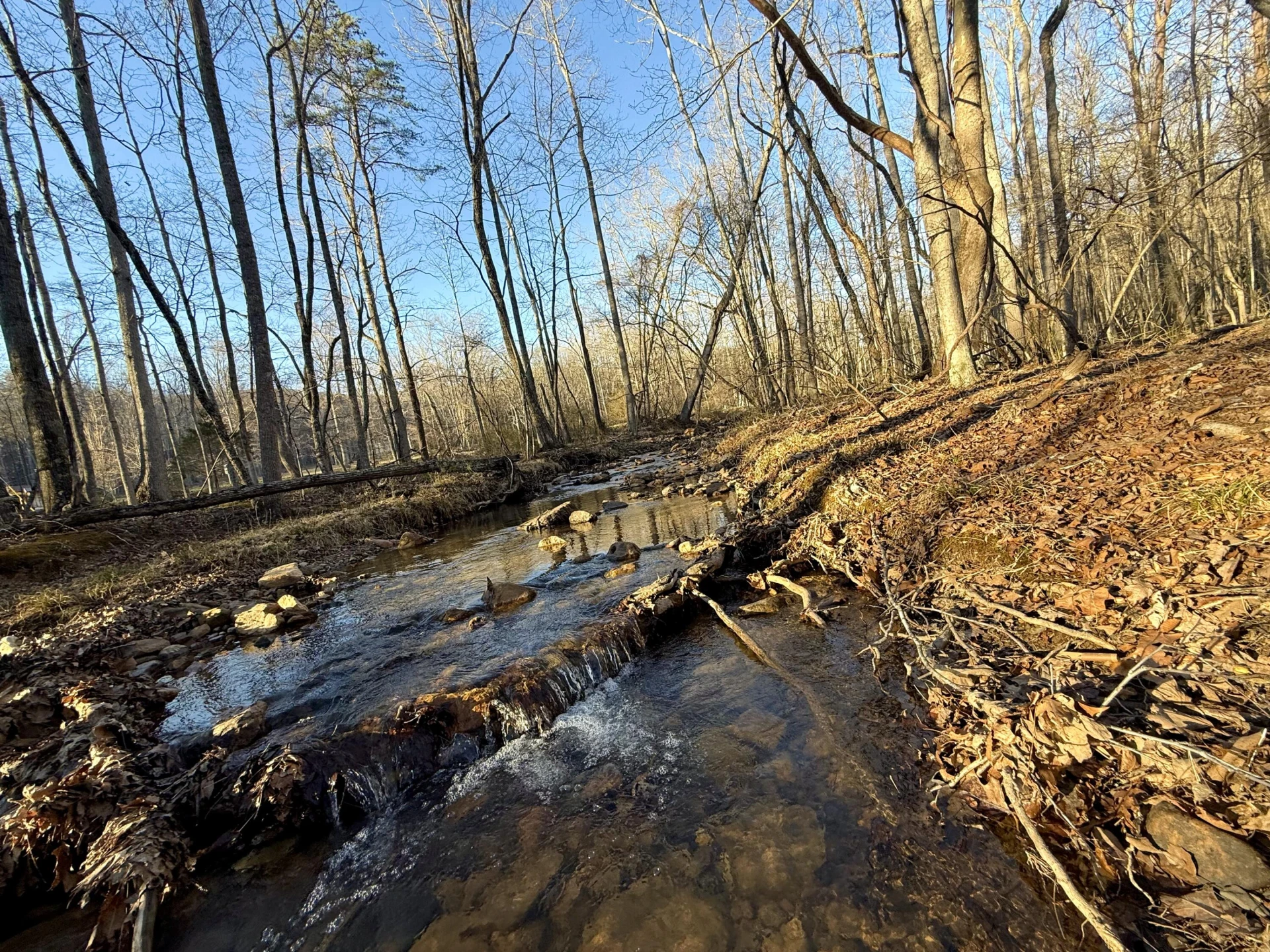 0 Dicks Creek RD - Photo 6