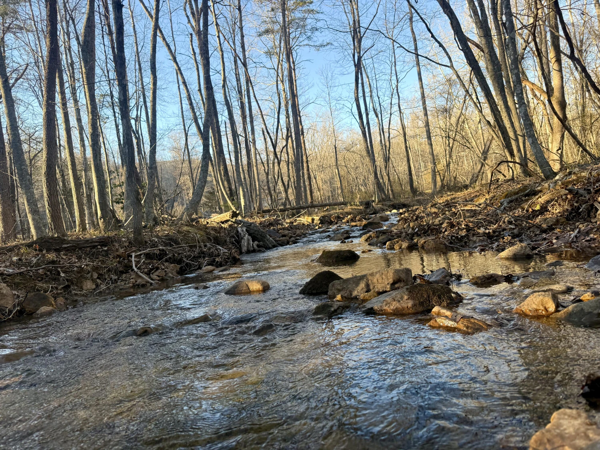 0 Dicks Creek RD - Photo 7