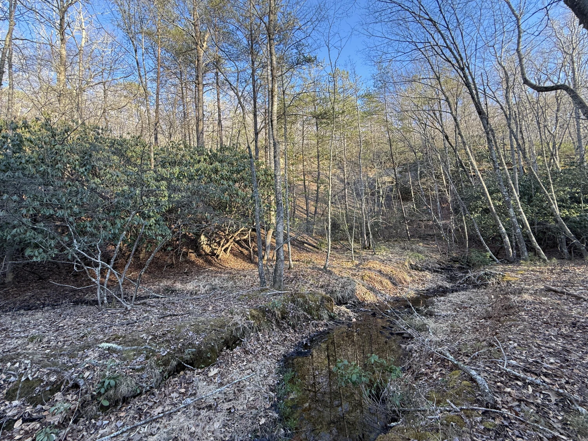 0 Dicks Creek RD - Photo 8