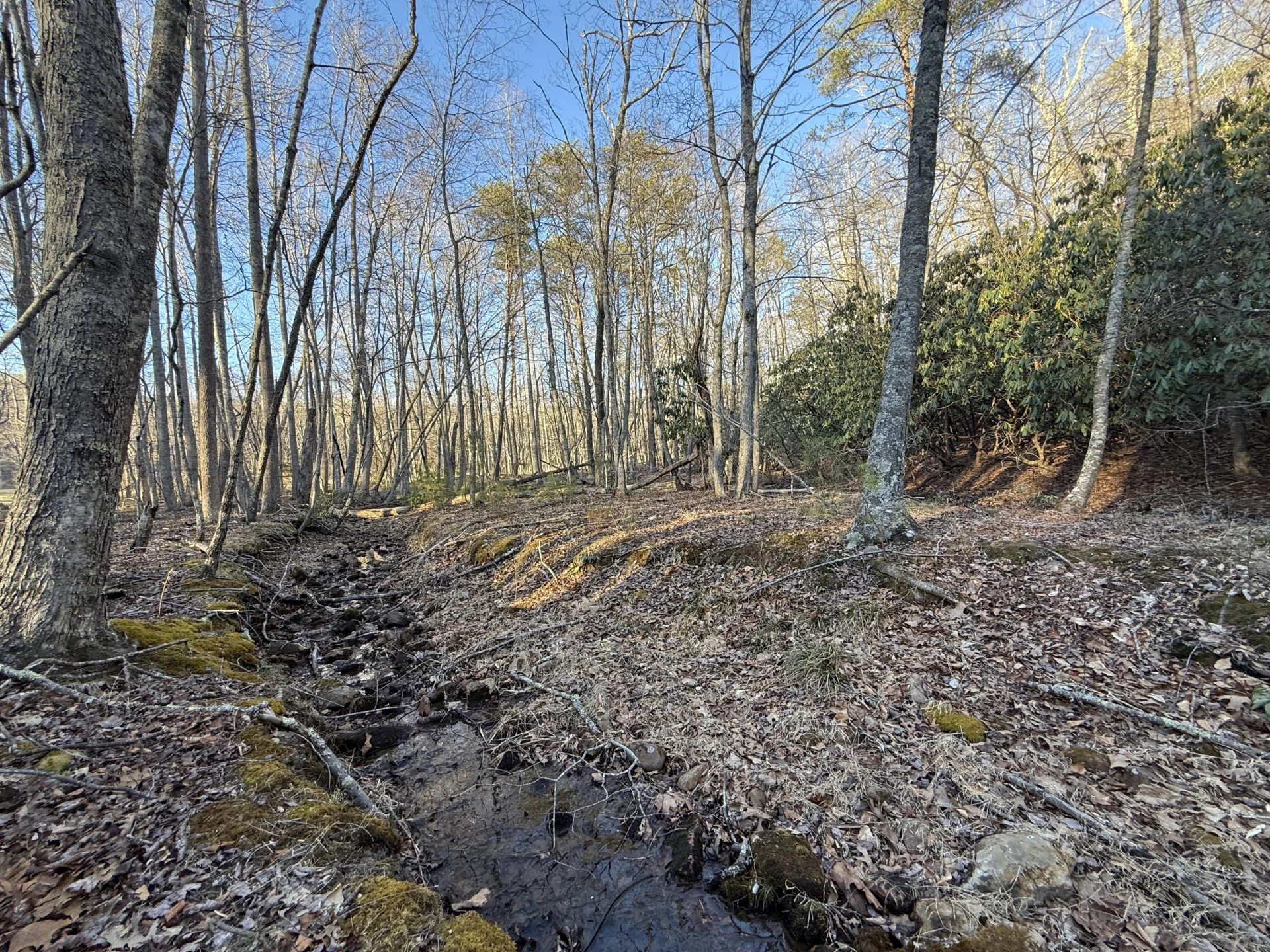 0 Dicks Creek RD - Photo 9