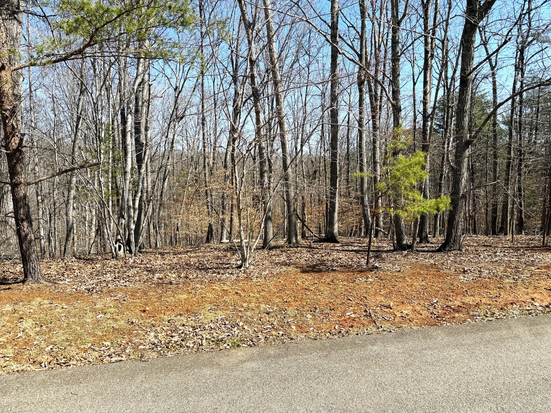 Lot 19 Gap Bridge RD - Photo 2
