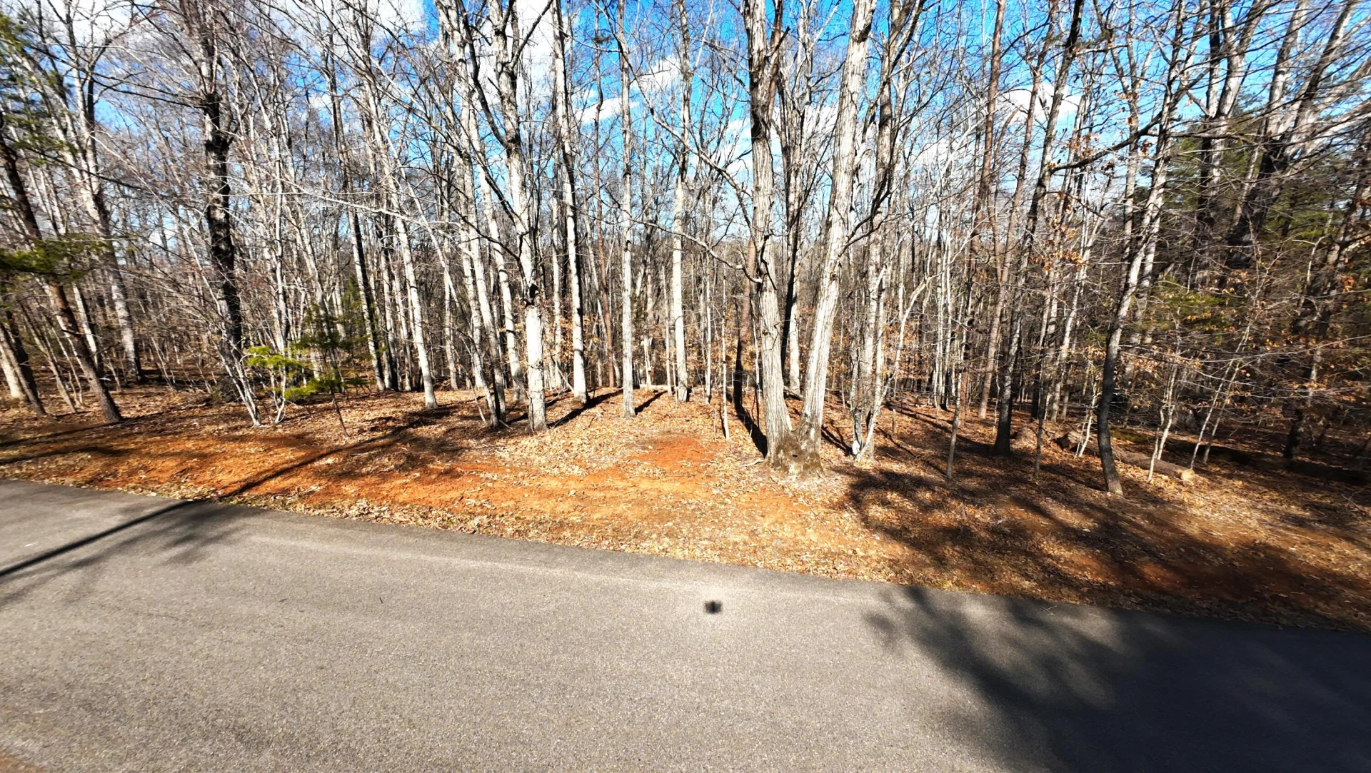 Lot 19 Gap Bridge RD - Photo 3