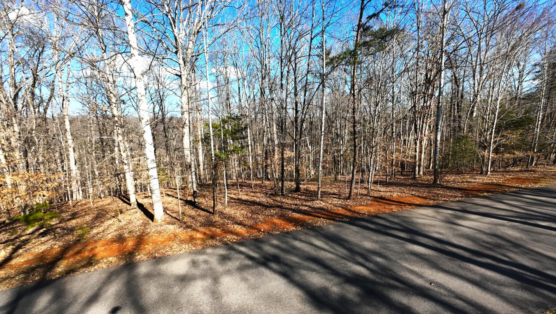 Lot 19 Gap Bridge RD - Photo 4