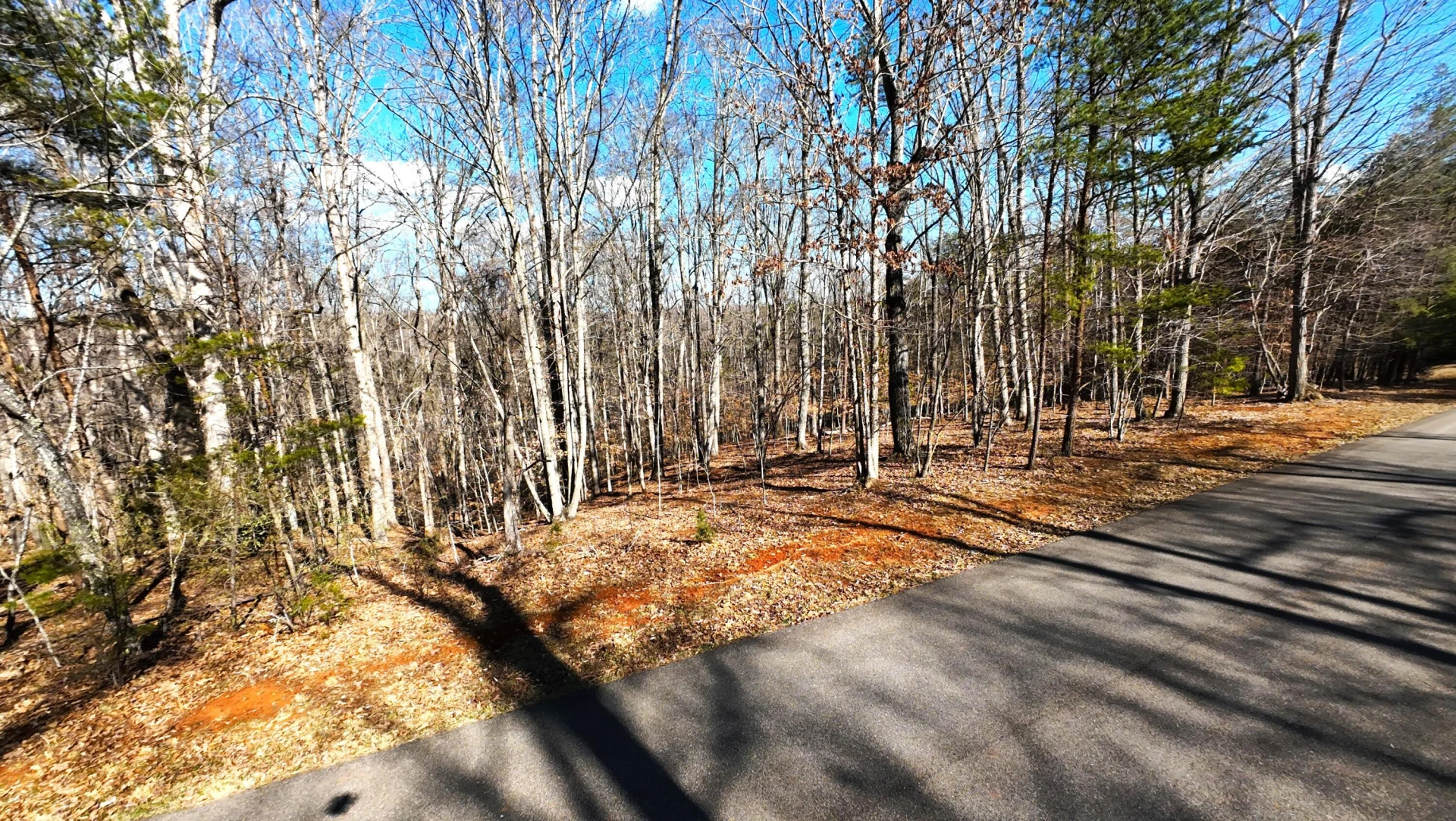 Lot 19 Gap Bridge RD - Photo 5