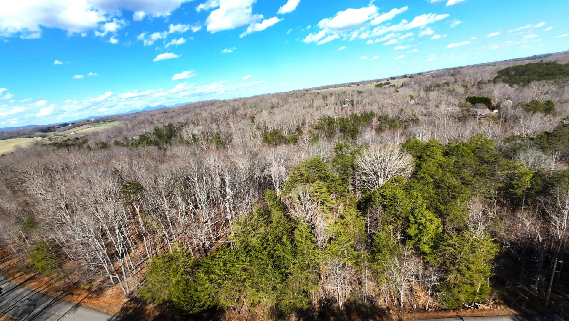 Lot 19 Gap Bridge RD - Photo 6