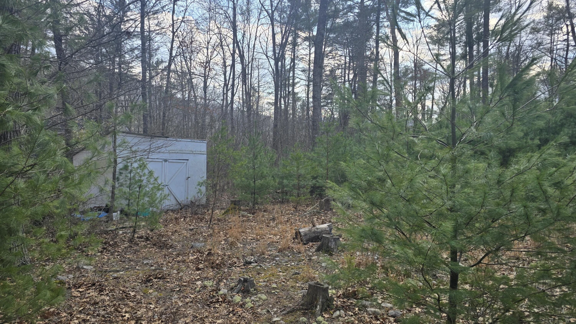 2280 Jennings RD - Photo 2