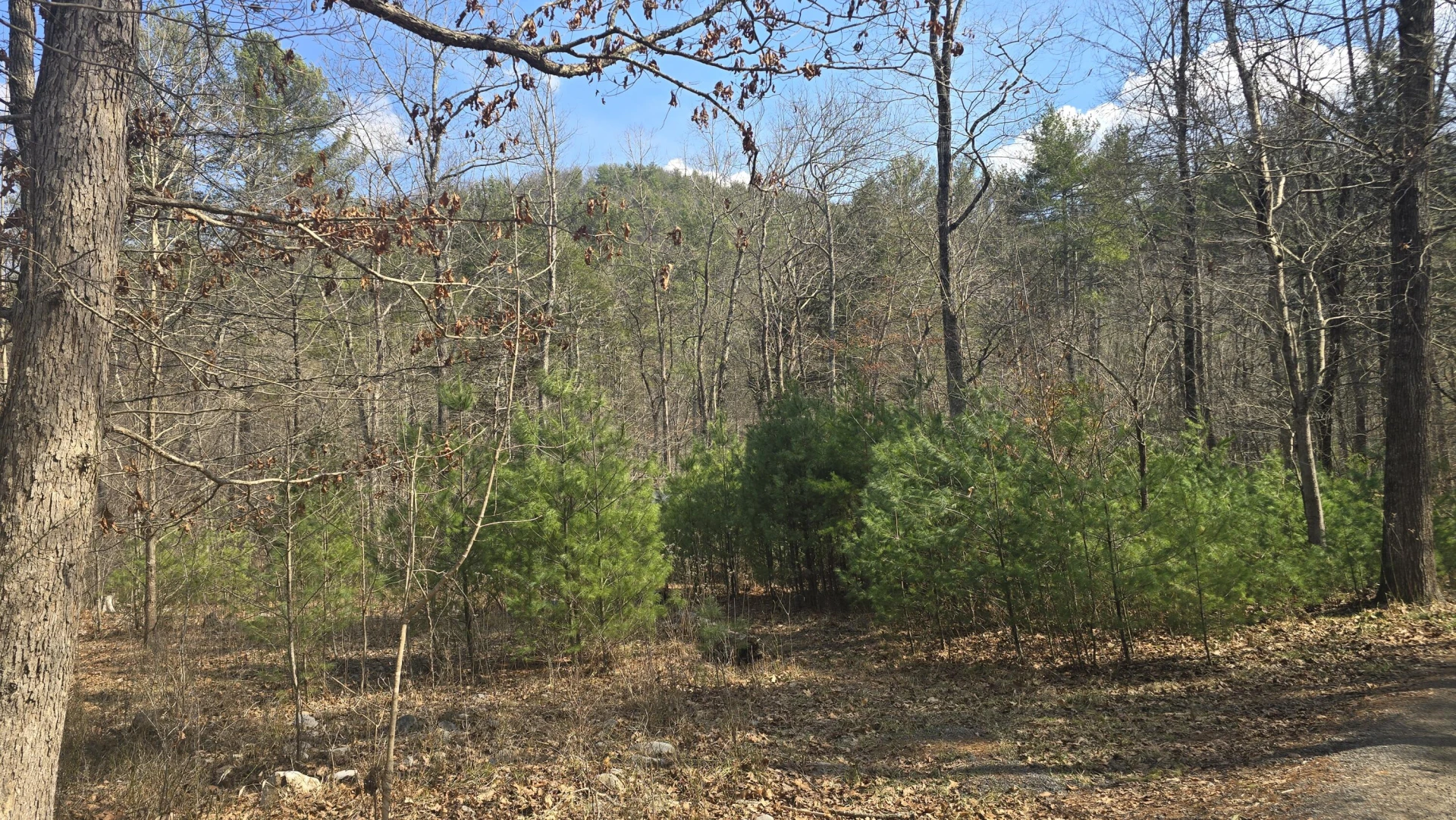 2280 Jennings RD - Photo 3