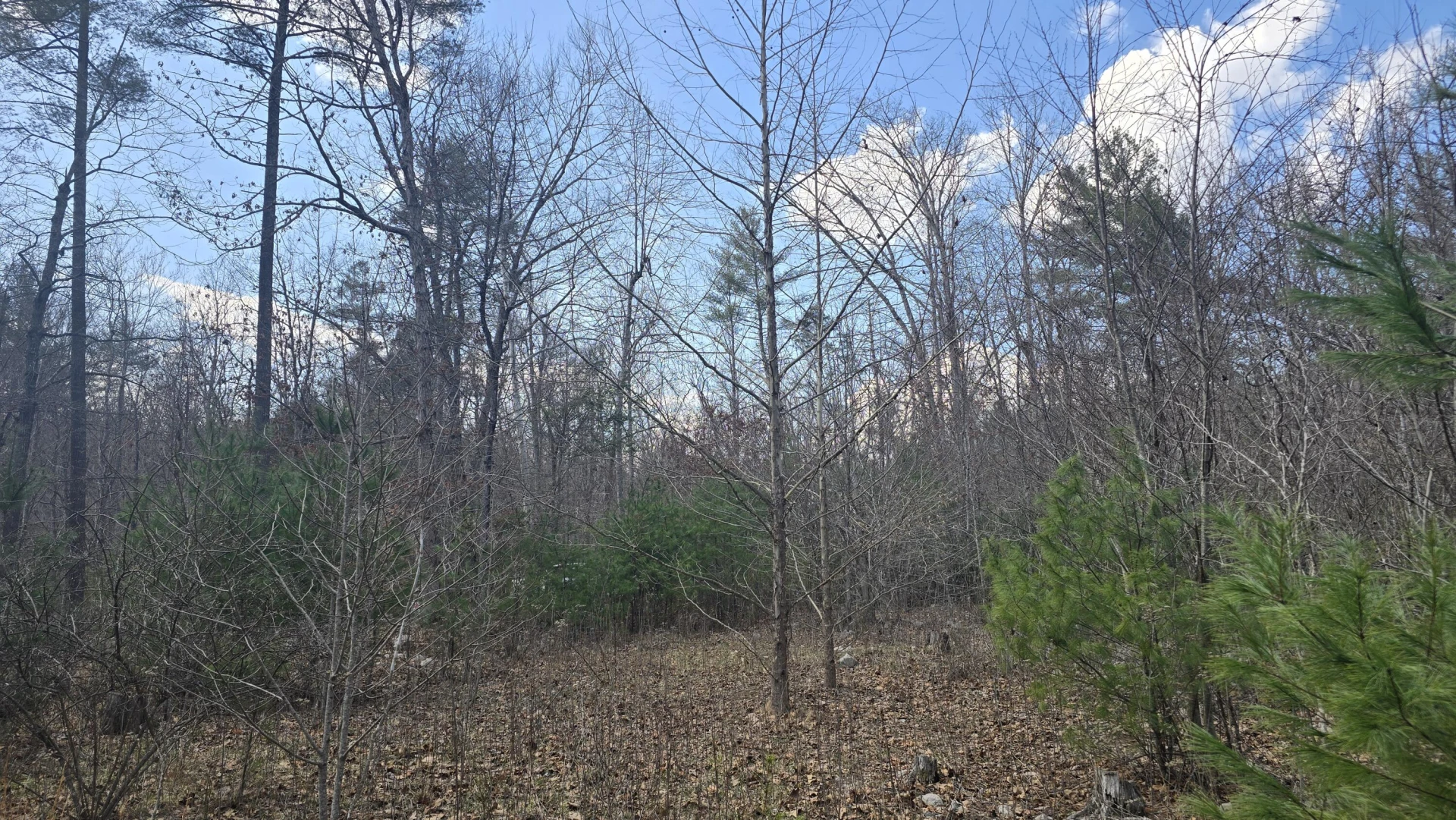 2280 Jennings RD - Photo 4