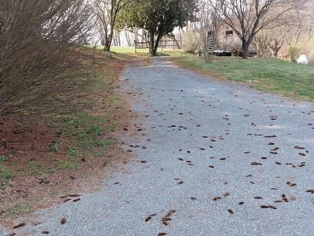 33 James River TER - Photo 19