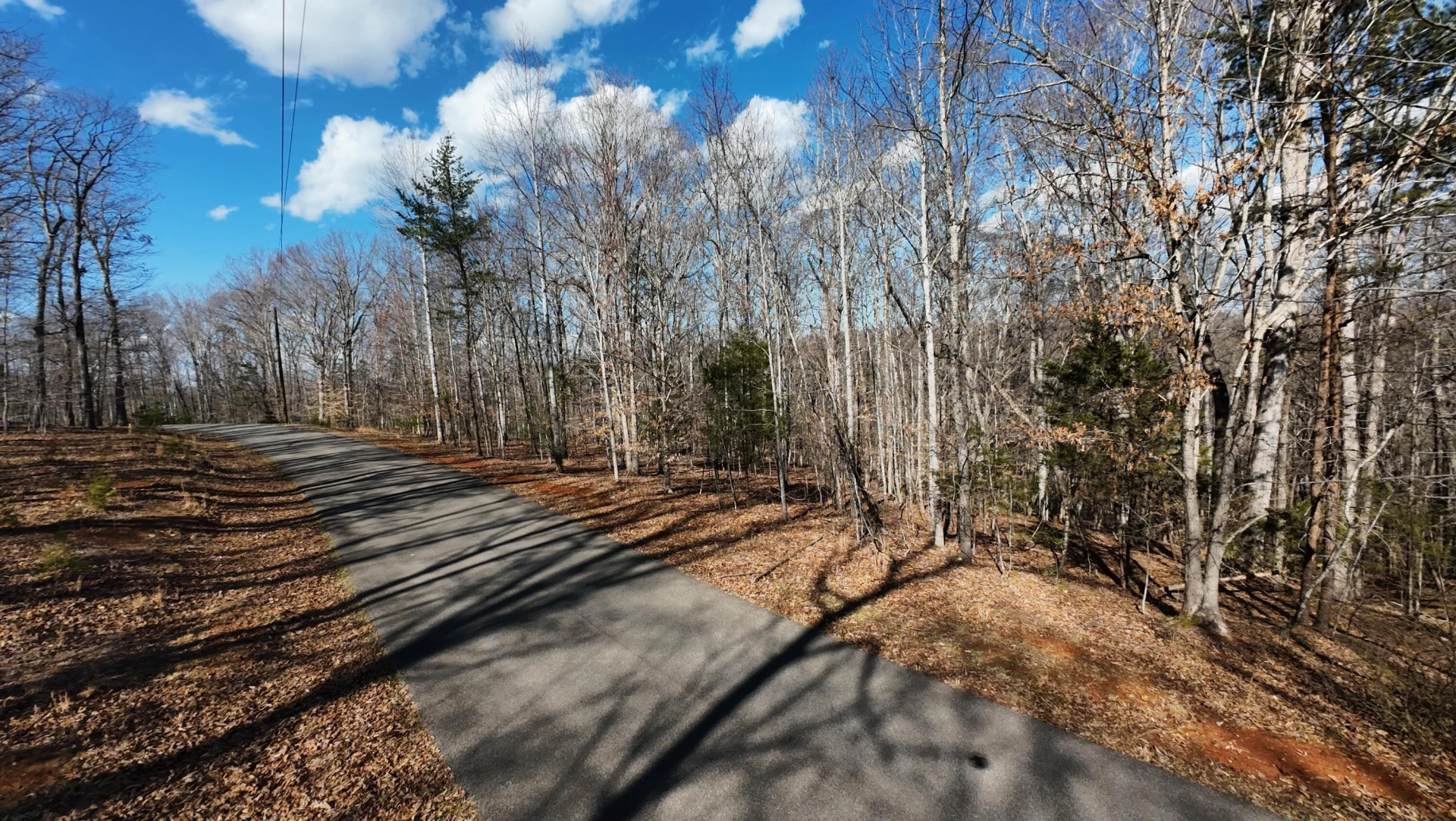 Lot 17 Gap Bridge RD - Photo 3